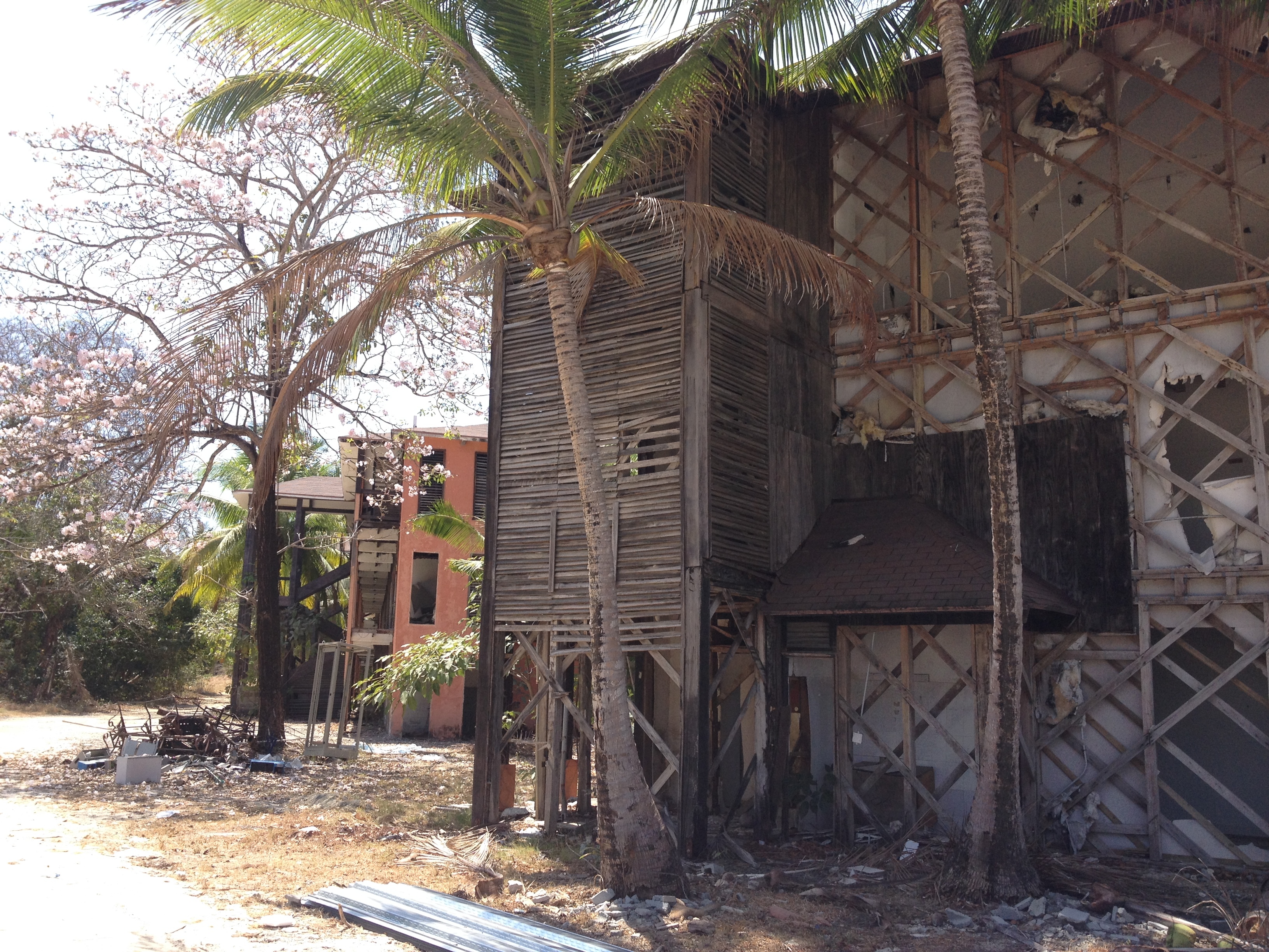 照片 巴拿马(Panama) 孔塔多拉岛(Contadora Island) 2015-03 88