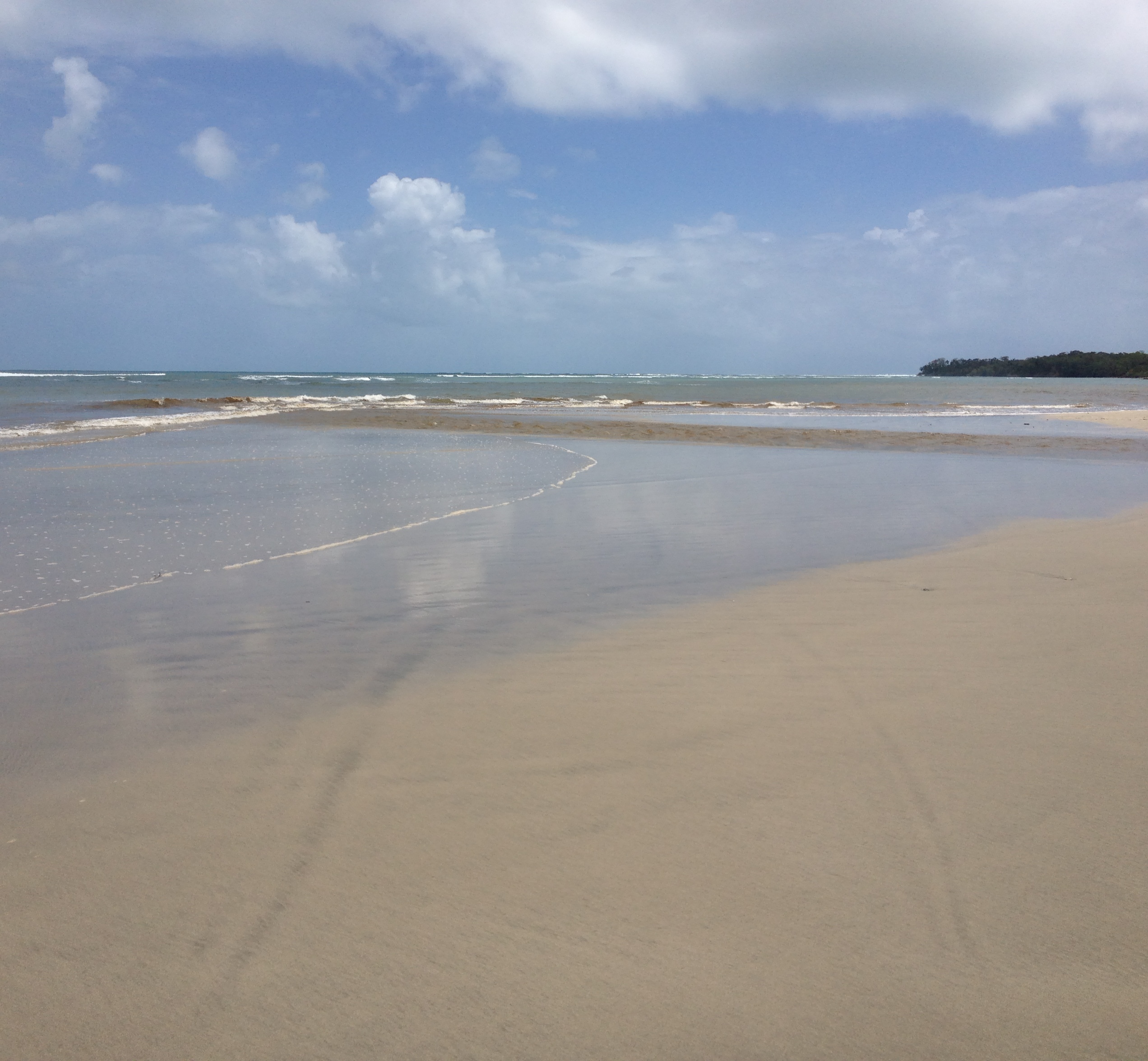 照片 哥斯达黎加(Costa Rica) 卡维塔(Cahuita) 2015-03 155