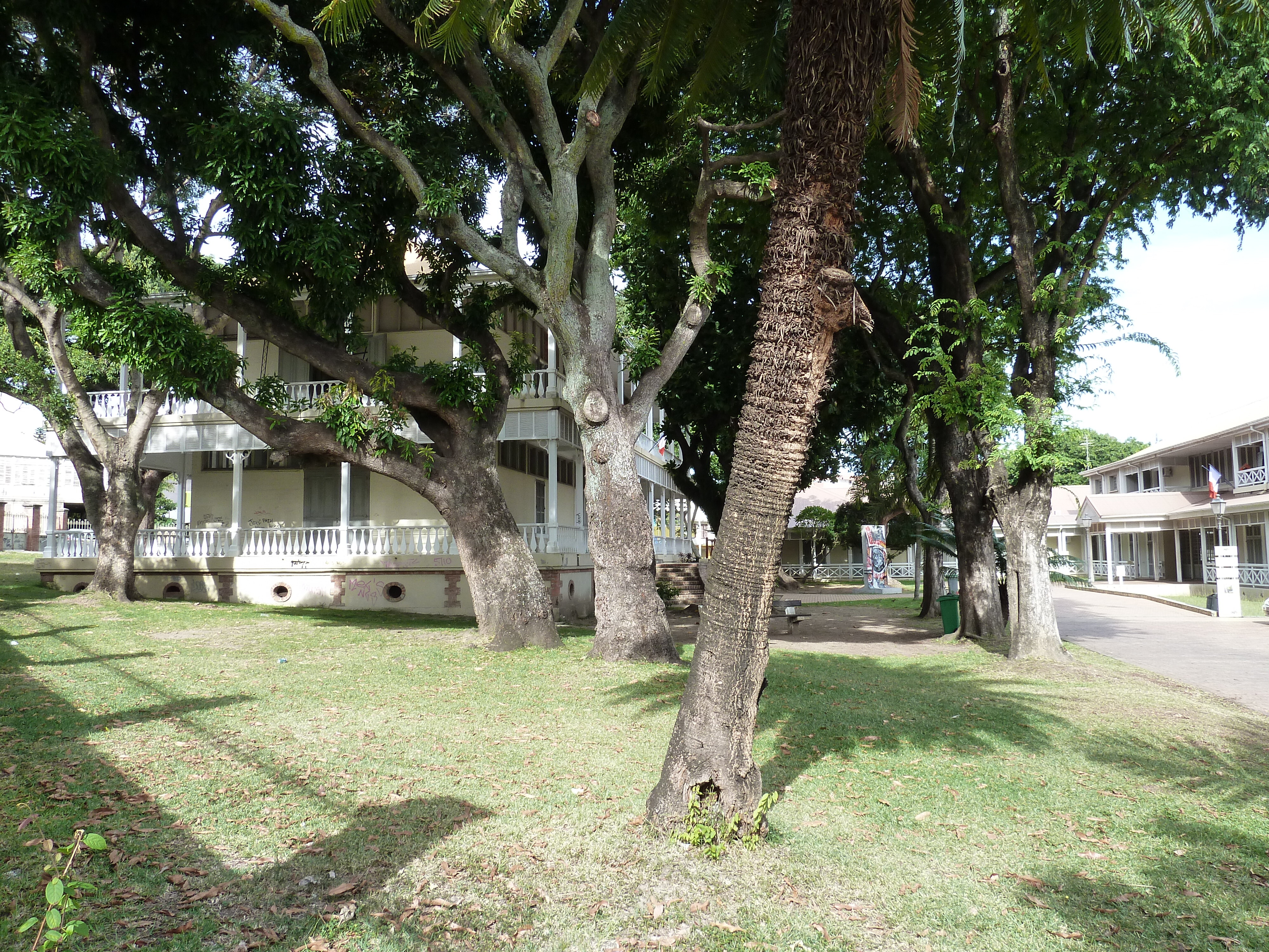照片 新喀里多尼亚(New Caledonia) 努美阿(Noumea) 2010-05 57