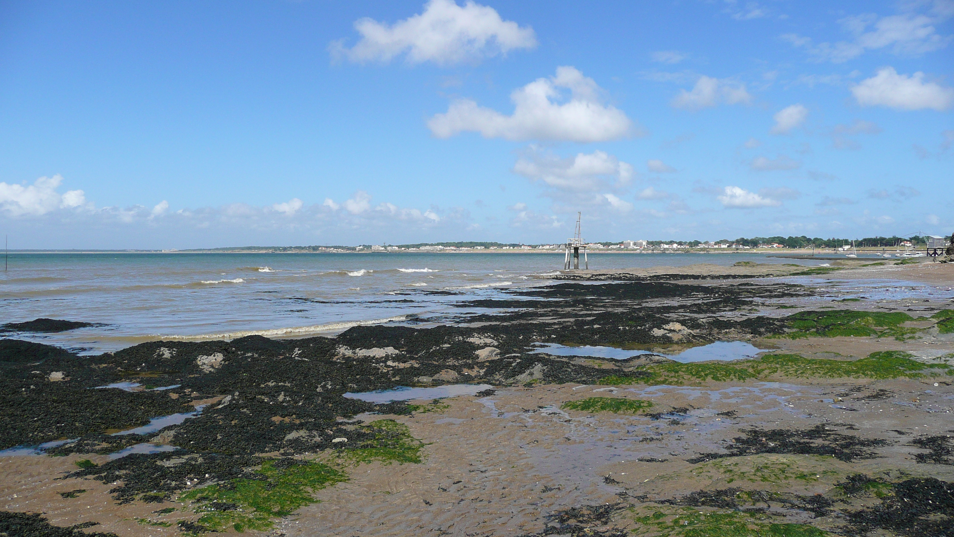 照片 法国(France) 滨海拉普莱讷(La Plaine sur mer) 勒科尔米耶(Le Cormier) 2007-07 6