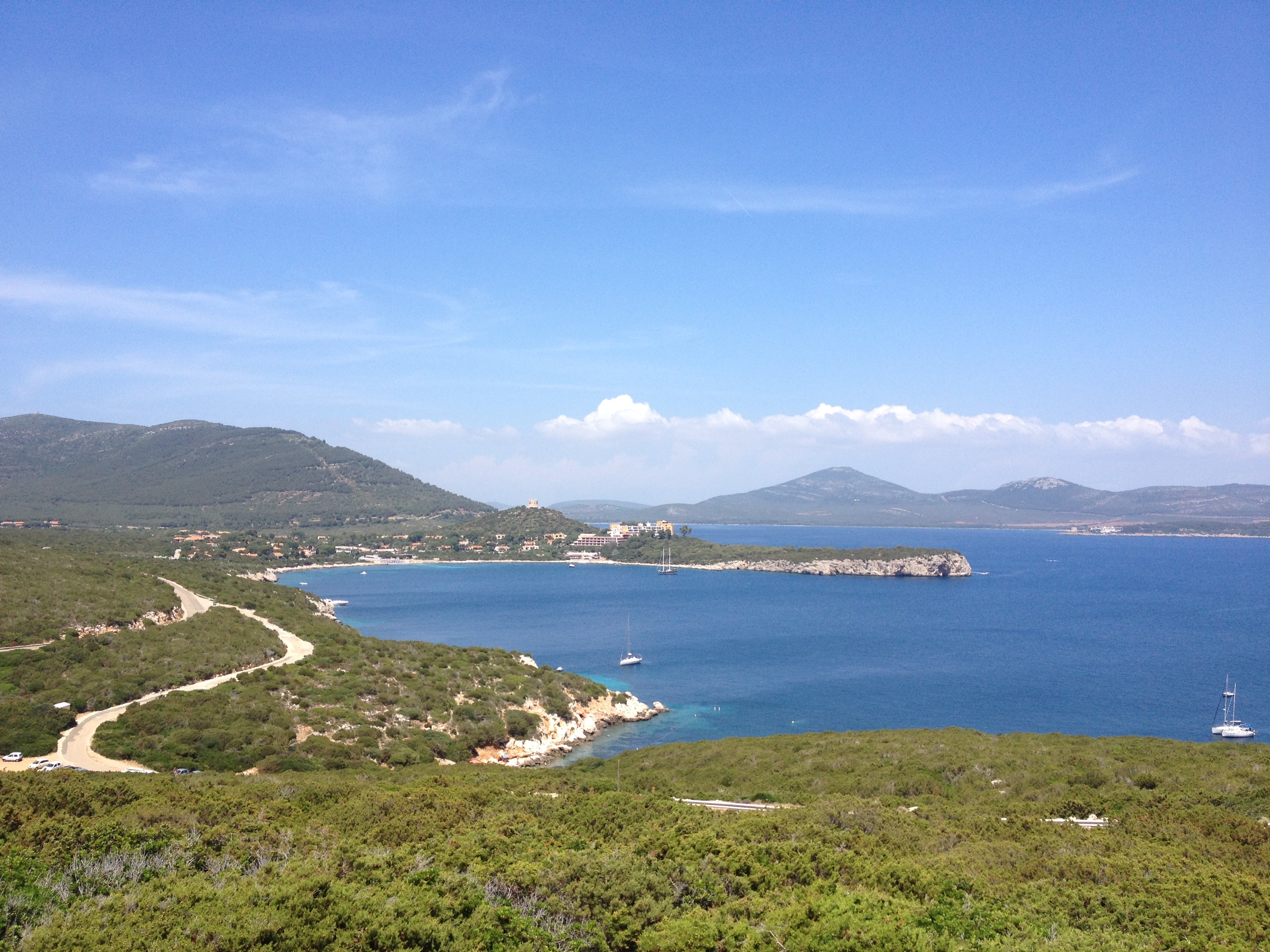 照片 意大利(Italy) 撒丁岛(Sardinia) 孔特港地区自然公园(Porto Conte Regional Natural Park) 2015-06 9