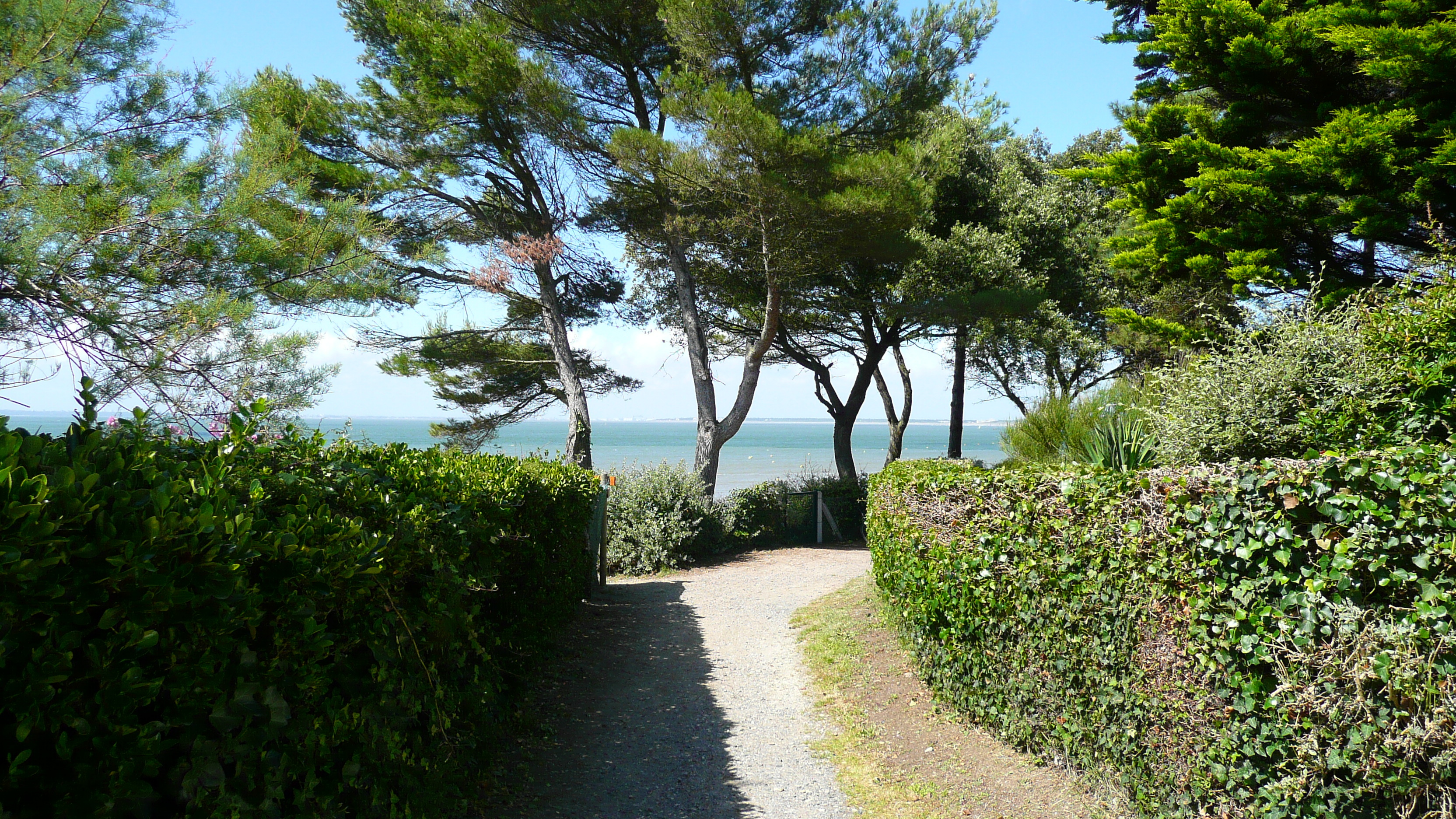 照片 法国(France) 滨海拉普莱讷(La Plaine sur mer) 勒科尔米耶(Le Cormier) 2007-07 18