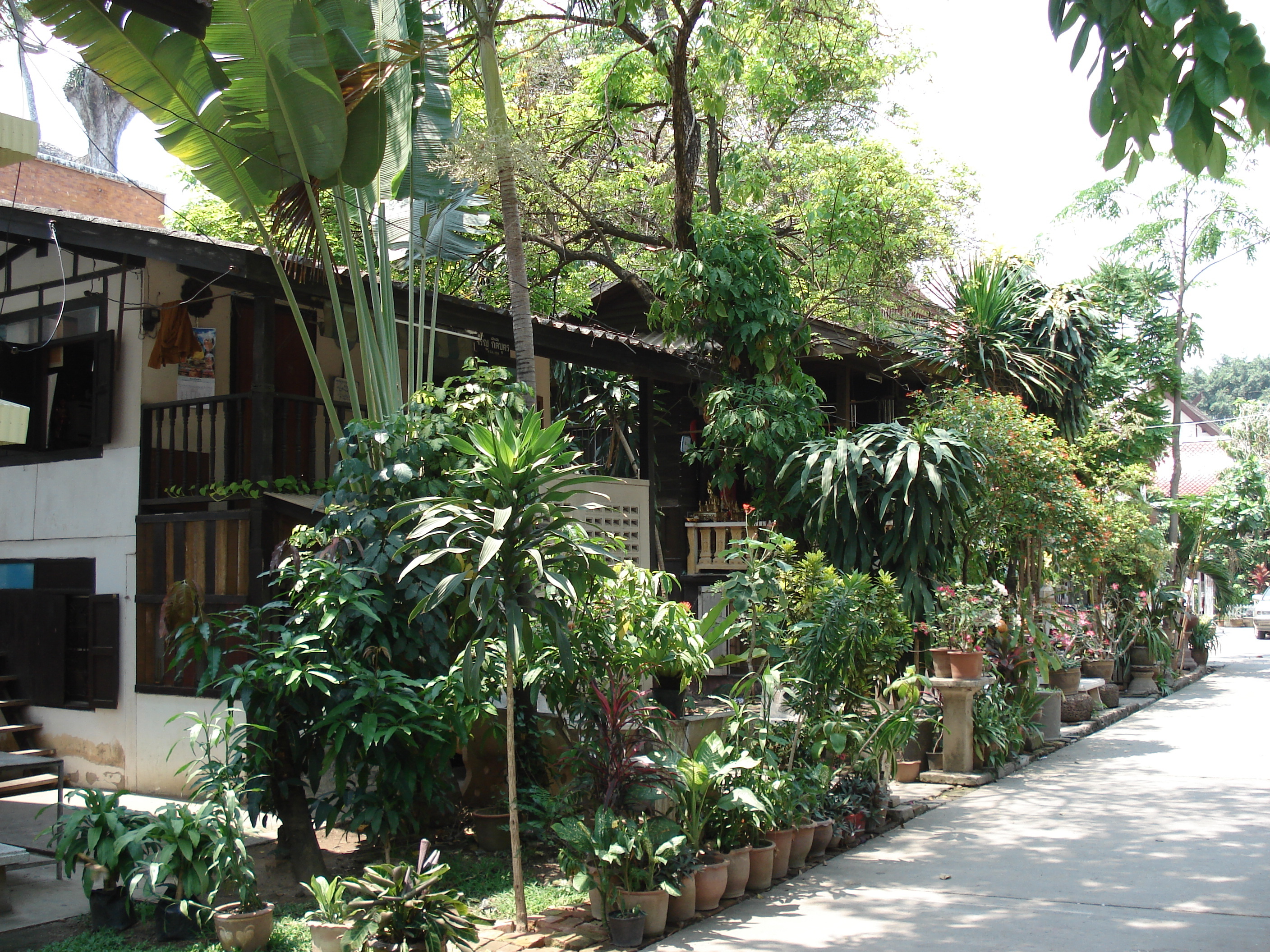 照片 泰国(Thailand) 清迈(Chiang Mai) 护城河内(Inside Canal) 契迪龙寺(Wat Chediluang Varaviharn temple) 2006-04 19