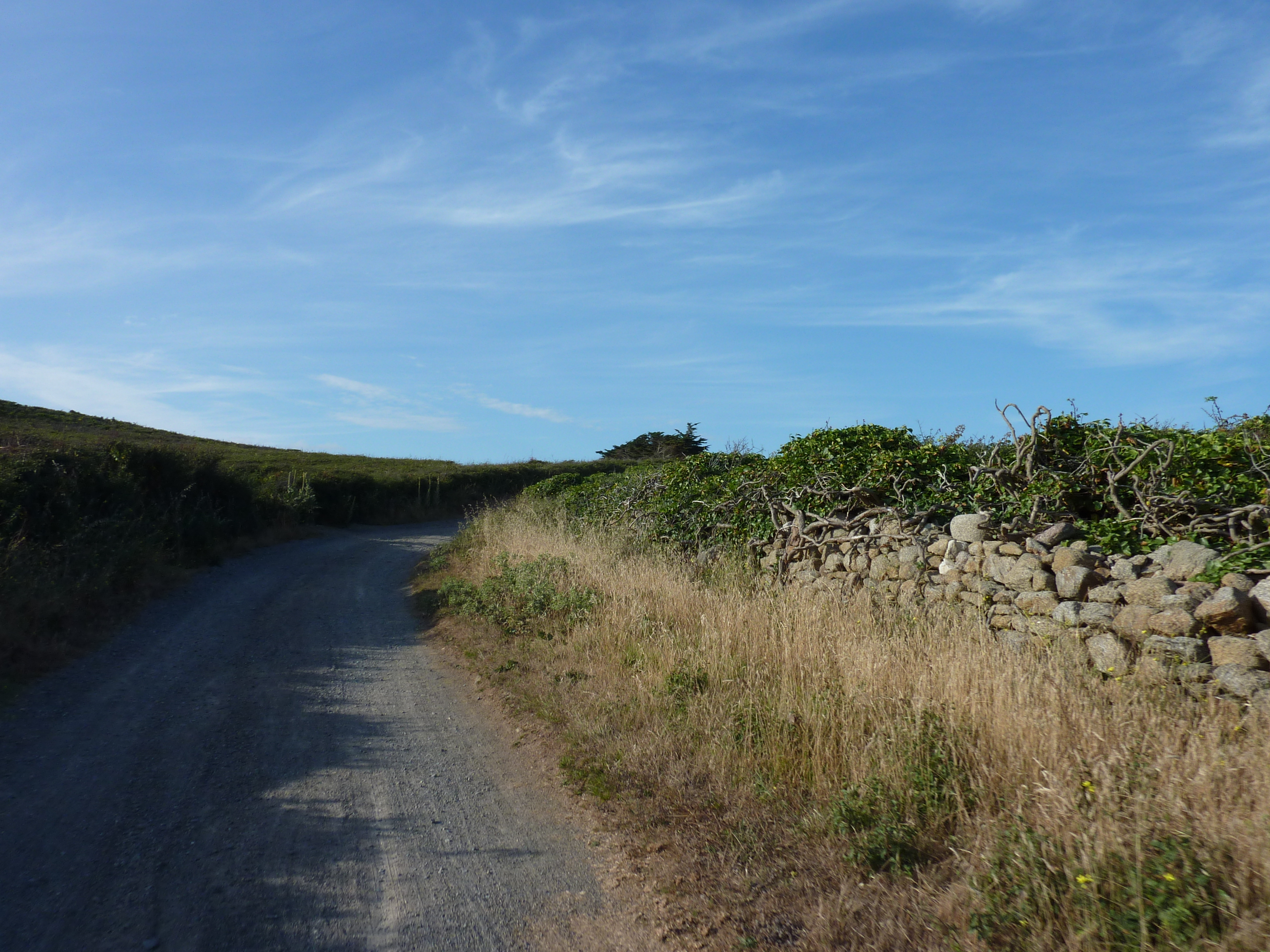 照片 法国(France) 伊厄岛(Ile d'yeu) 2009-07 75