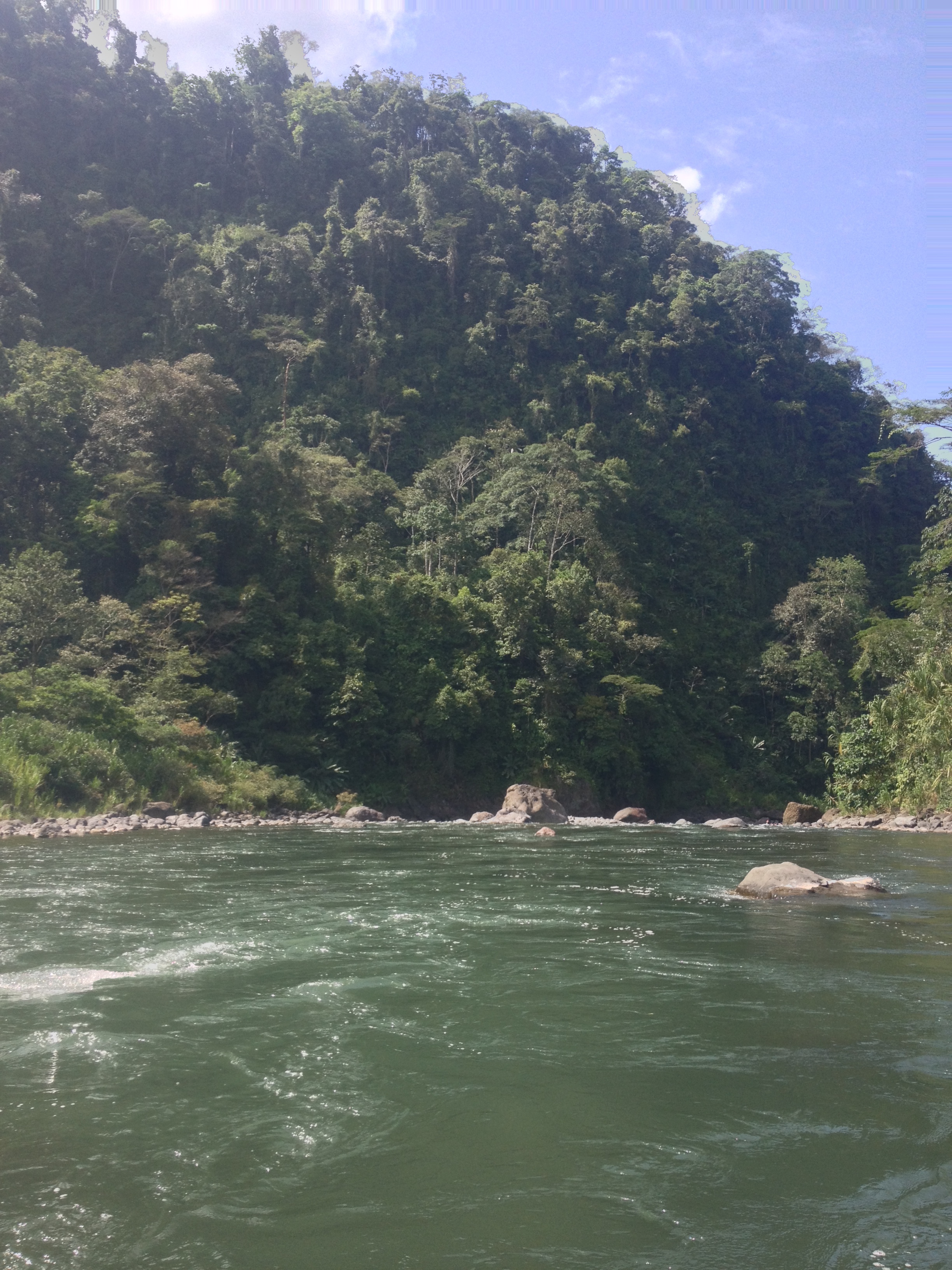 照片 哥斯达黎加(Costa Rica) 帕夸雷河(Pacuare River) 2015-03 82