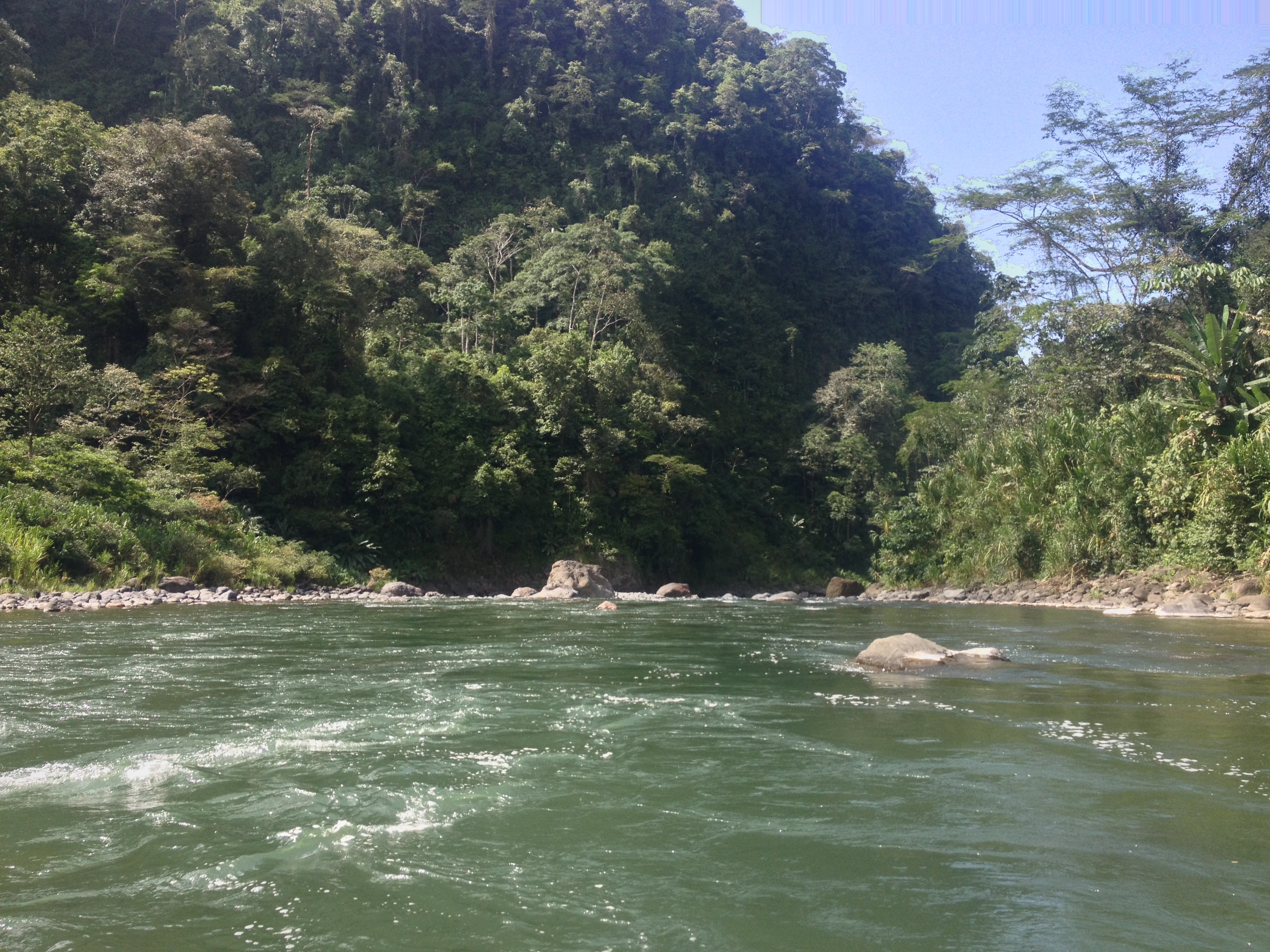 照片 哥斯达黎加(Costa Rica) 帕夸雷河(Pacuare River) 2015-03 102