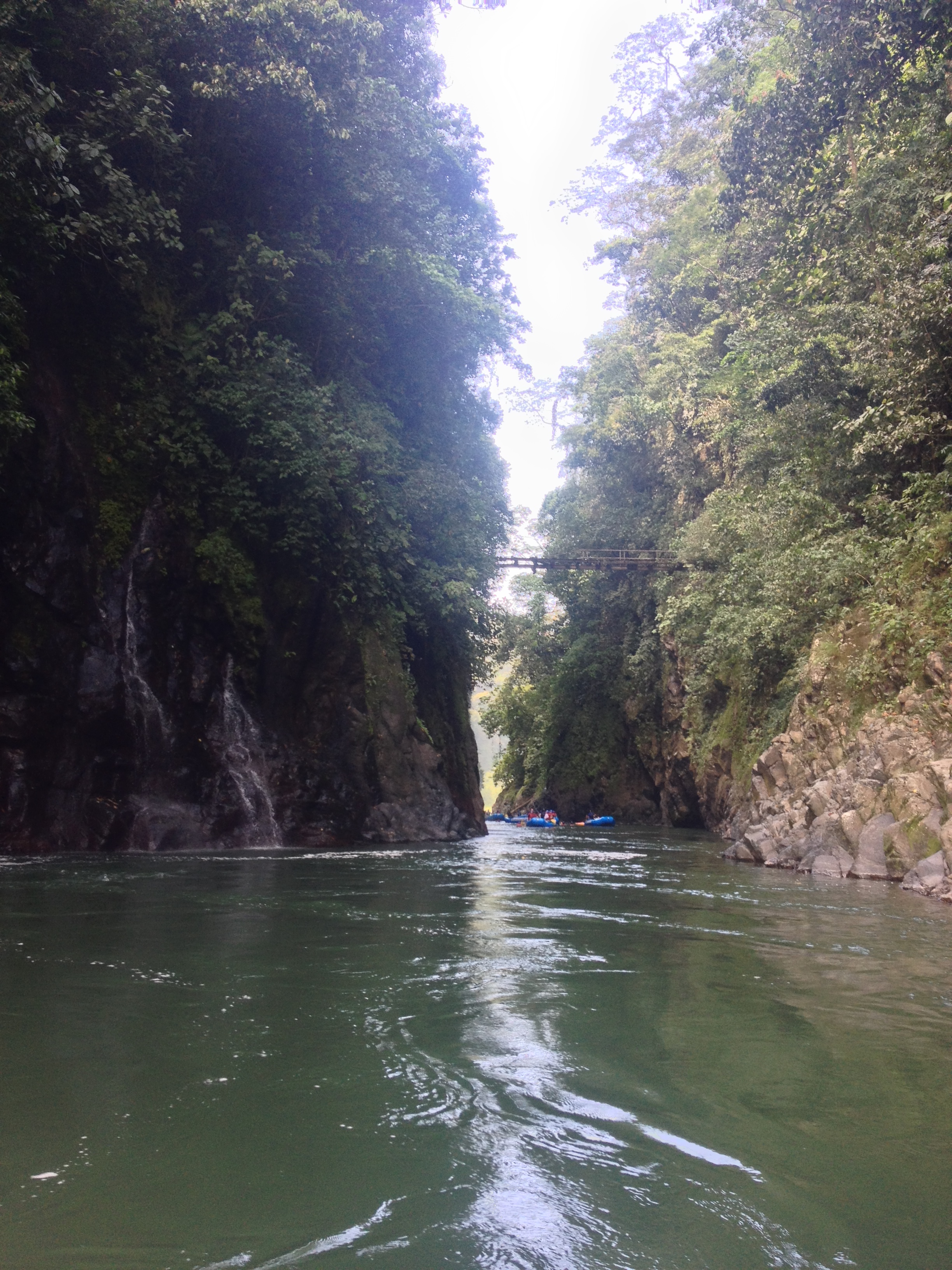 照片 哥斯达黎加(Costa Rica) 帕夸雷河(Pacuare River) 2015-03 155