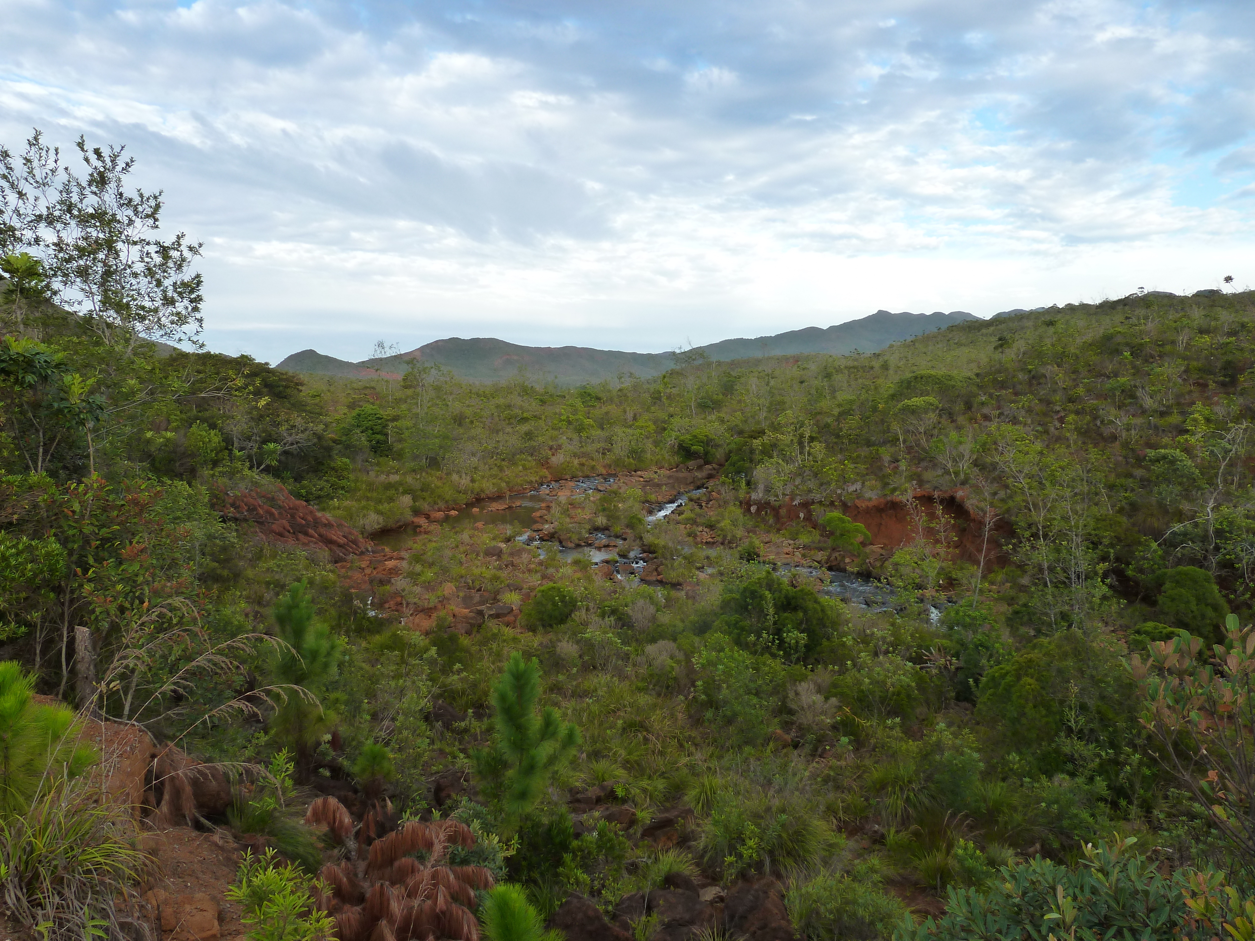 照片 新喀里多尼亚(New Caledonia) 蓝河公园(Parc de la Riviere Bleue) 2010-05 133