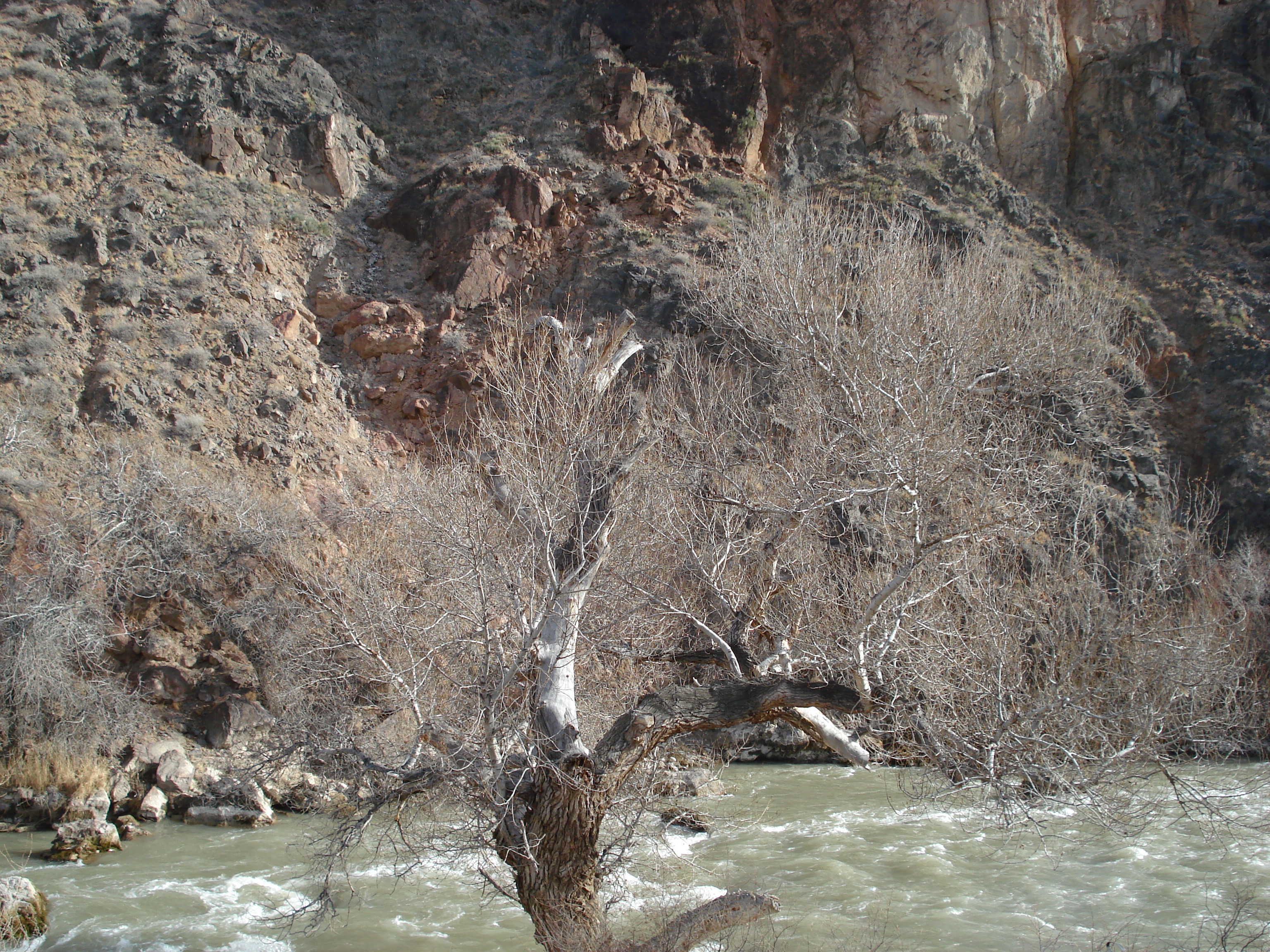 照片 哈萨克斯坦(Kazakhstan) 恰伦峡谷(Charyn Canyon) 2007-03 9