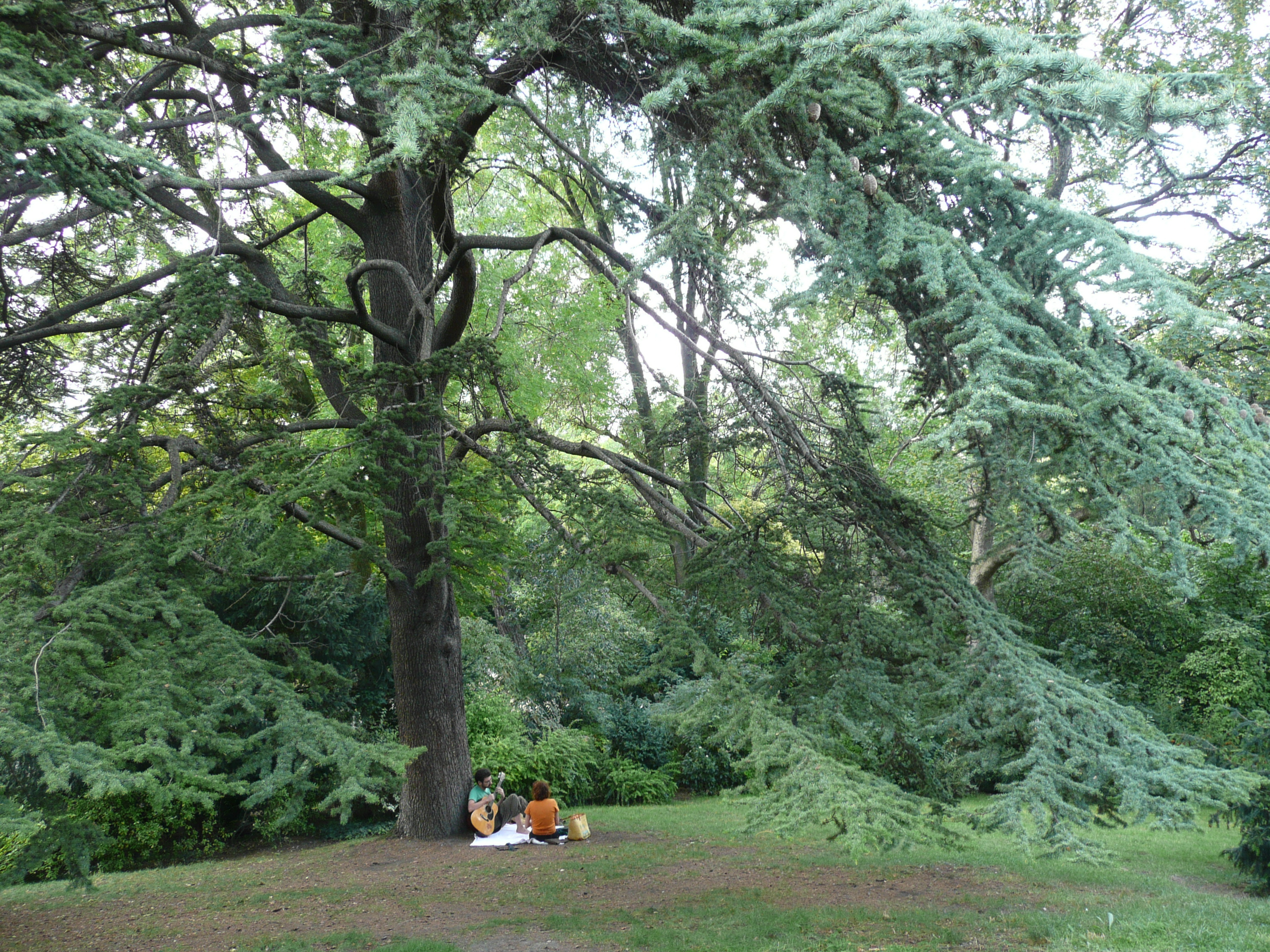 照片 法国(France) 巴黎(Paris) 肖蒙山丘公园(Parc des Buttes Chaumont) 2007-08 166