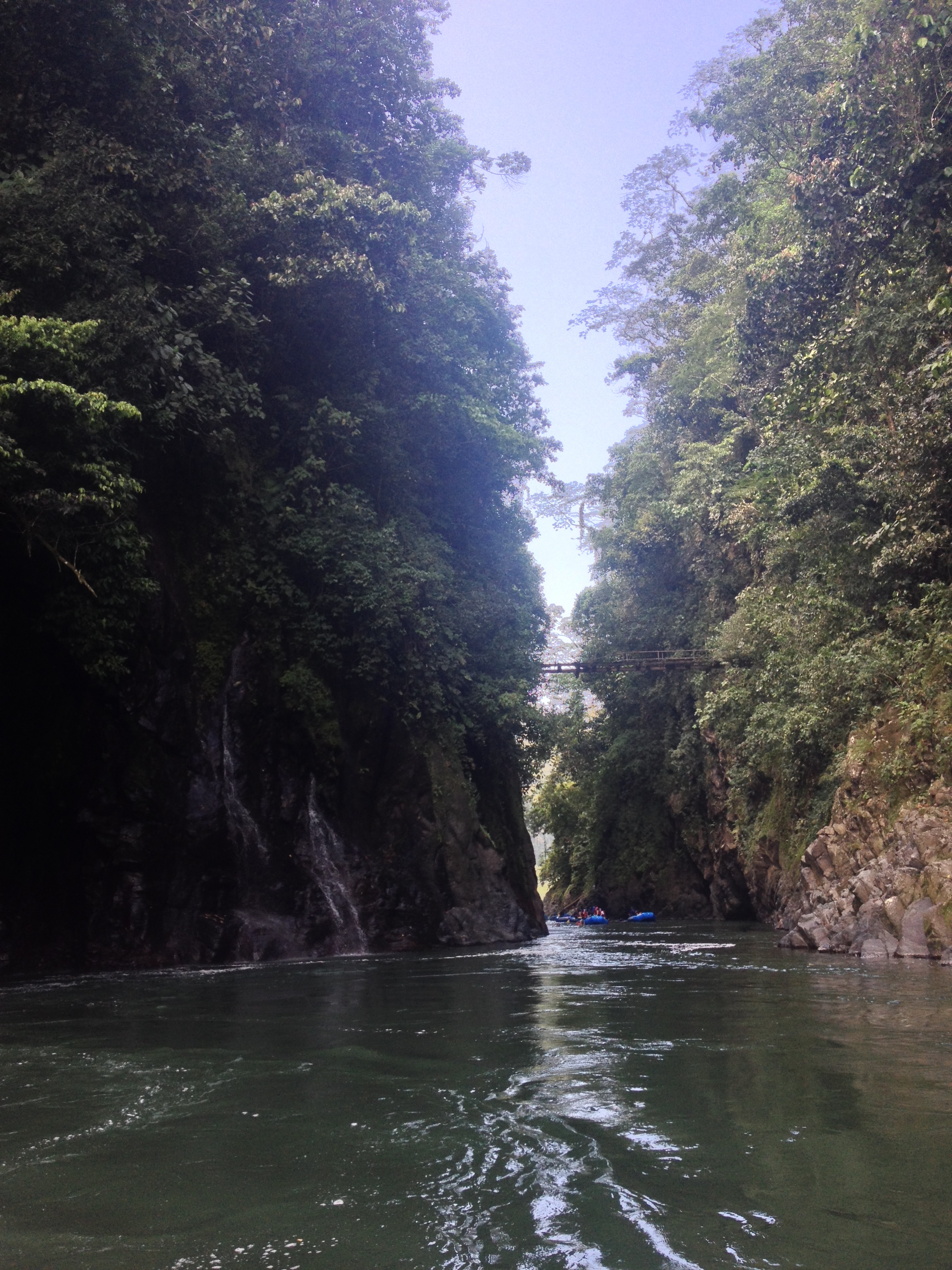 照片 哥斯达黎加(Costa Rica) 帕夸雷河(Pacuare River) 2015-03 103