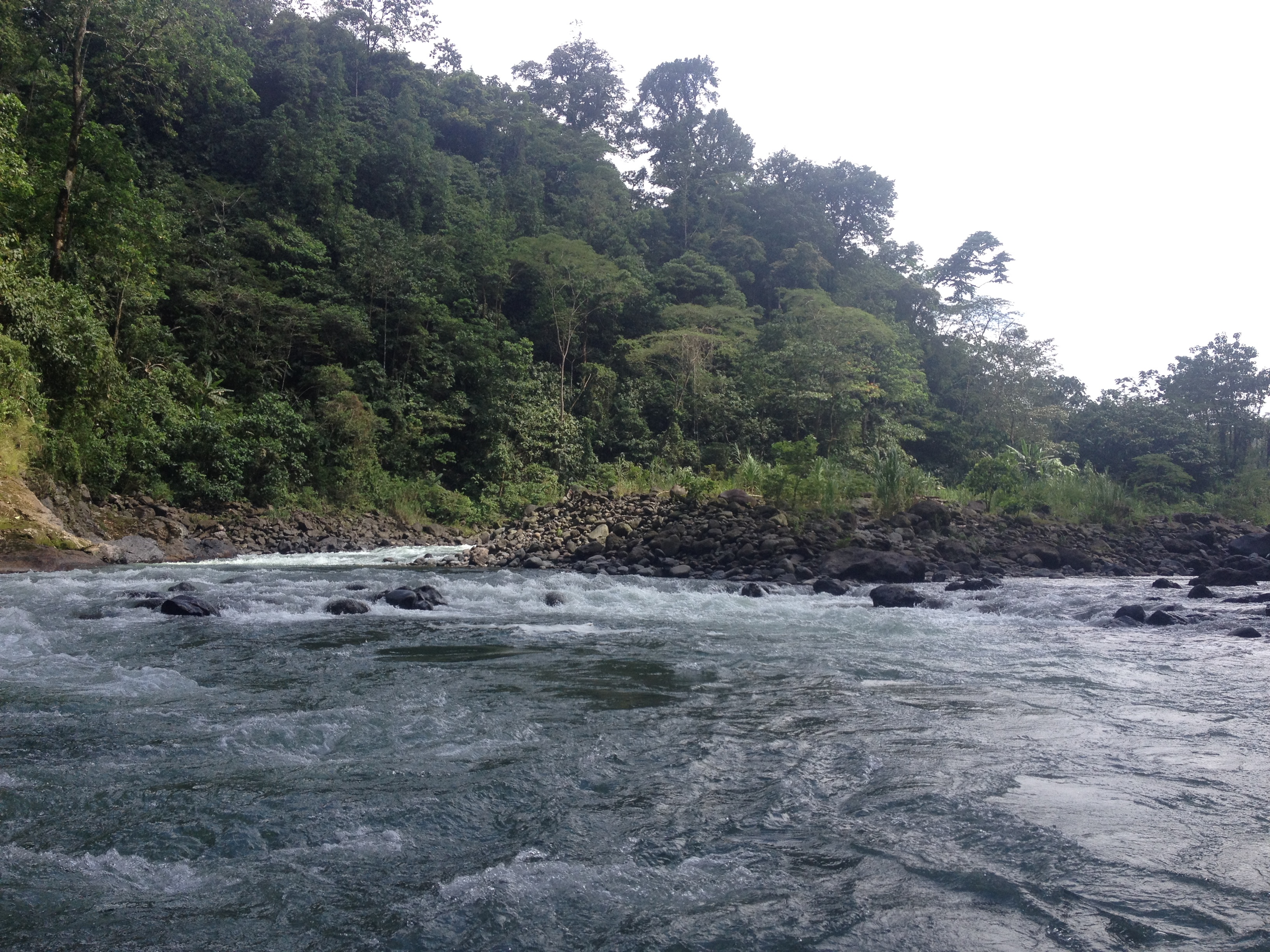 照片 哥斯达黎加(Costa Rica) 帕夸雷河(Pacuare River) 2015-03 118