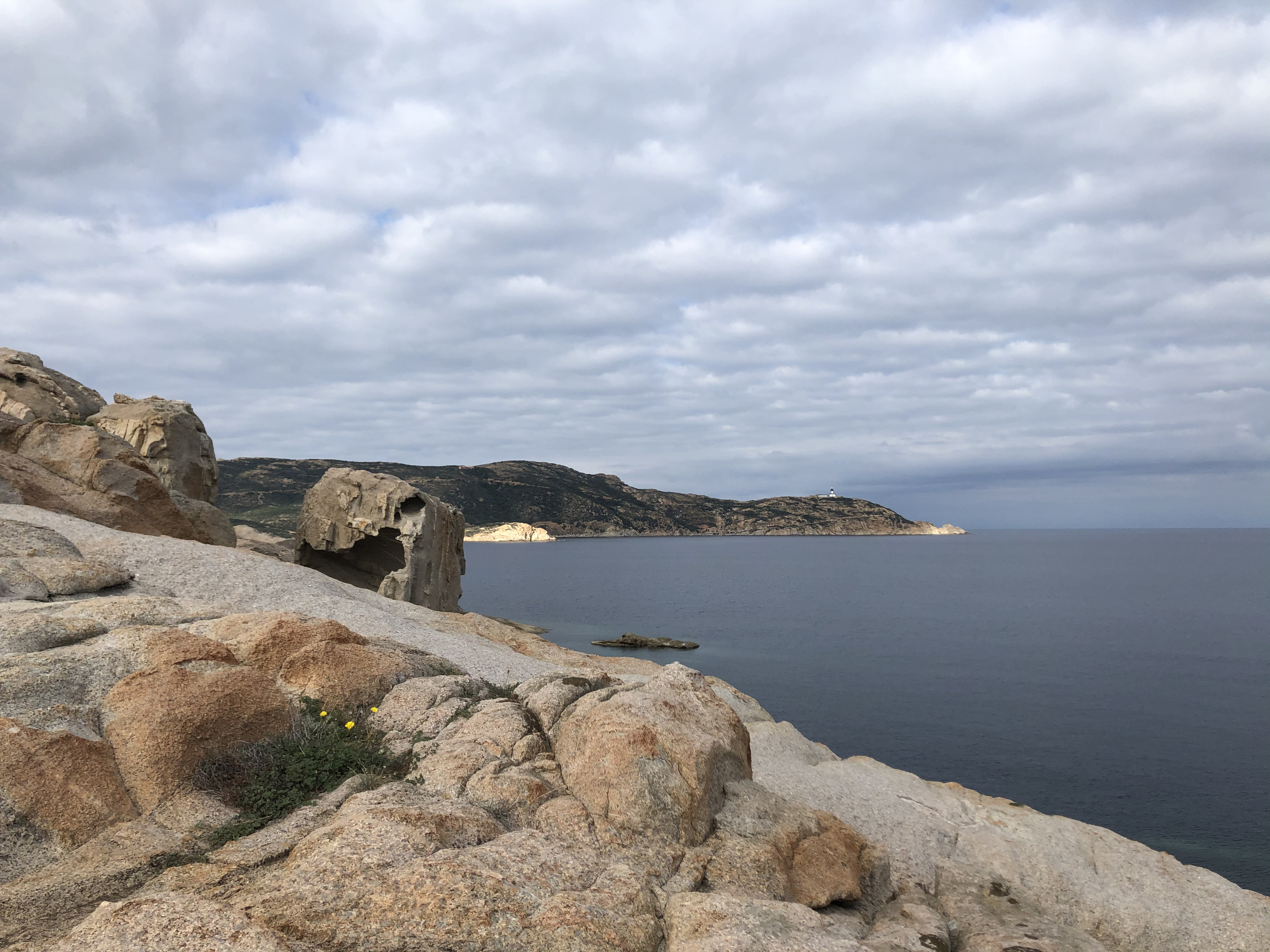 照片 法国(France) 科西嘉岛(Corsica) 卡尔维(Calvi) 2020-10 32