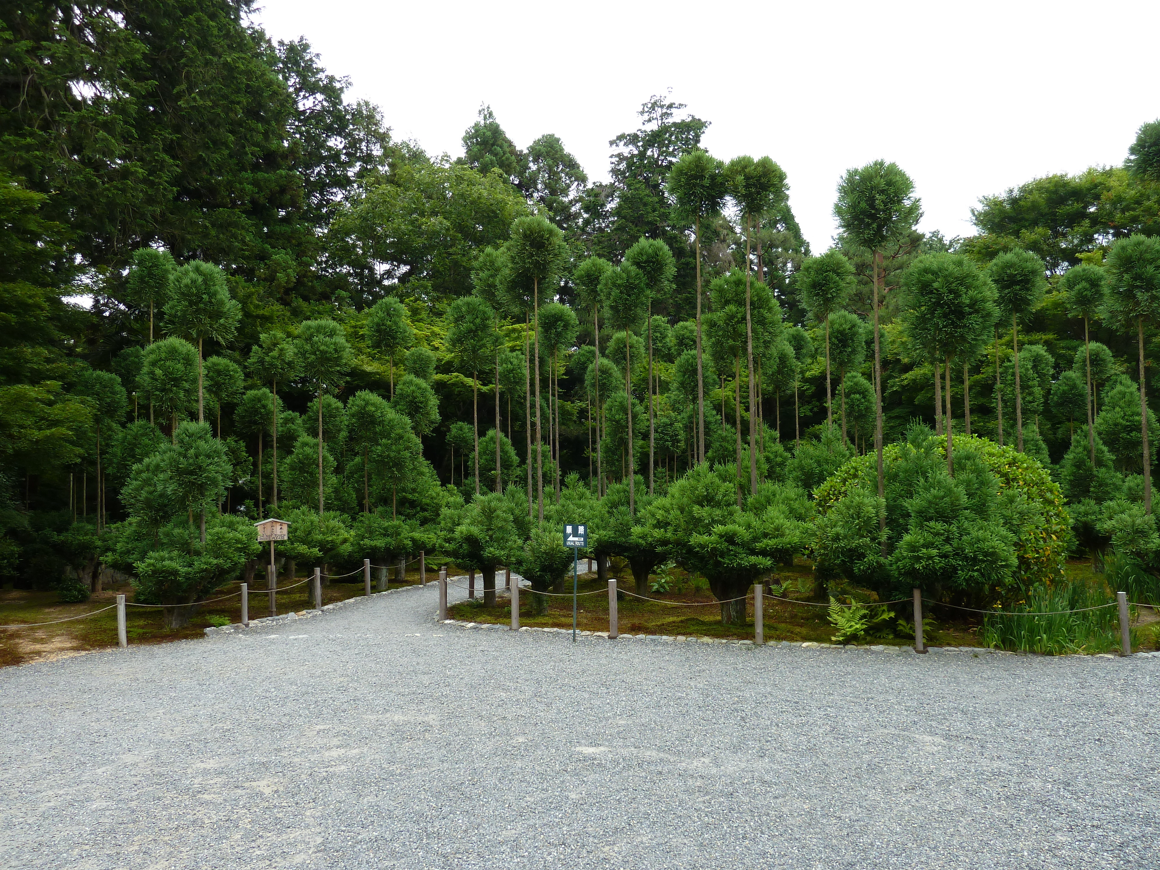 照片 日本(Japan) 京都(Kyoto) 龙安寺(Ryoanji Temple) 2010-06 25