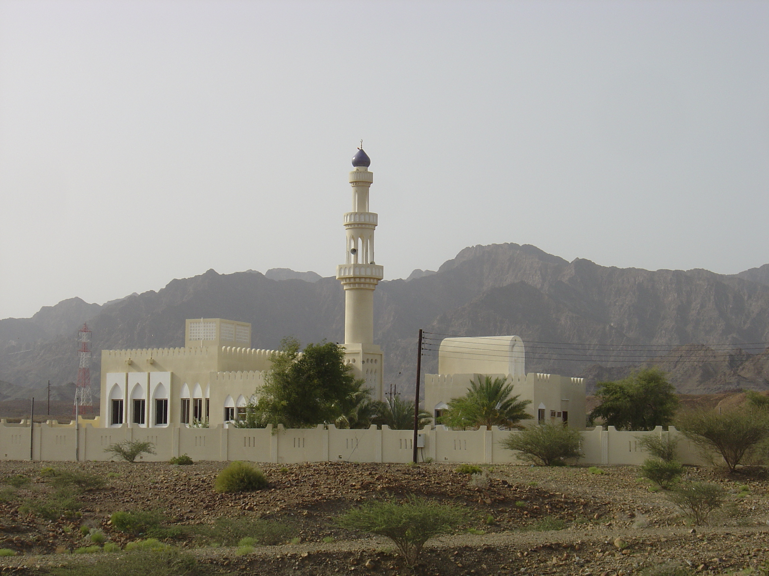 照片 阿曼(Oman) 布赖米至苏哈尔公路(Buraimi to Sohar road) 2005-03 28