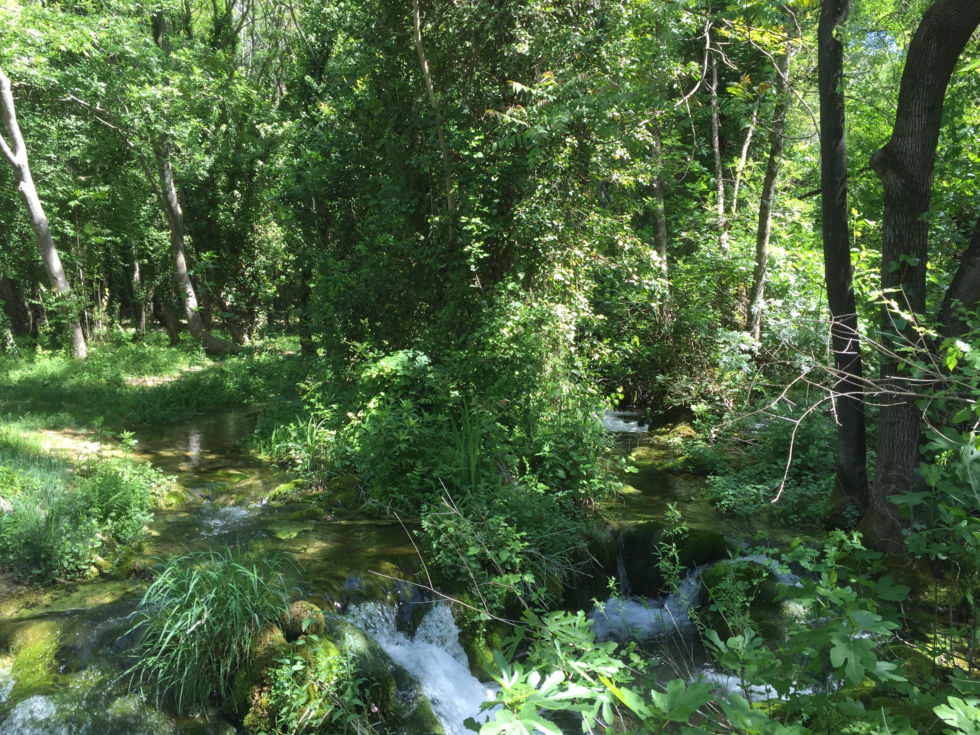 照片 克罗地亚(Croatia) 克尔卡国家公园(Krka National Park) 2016-04 99