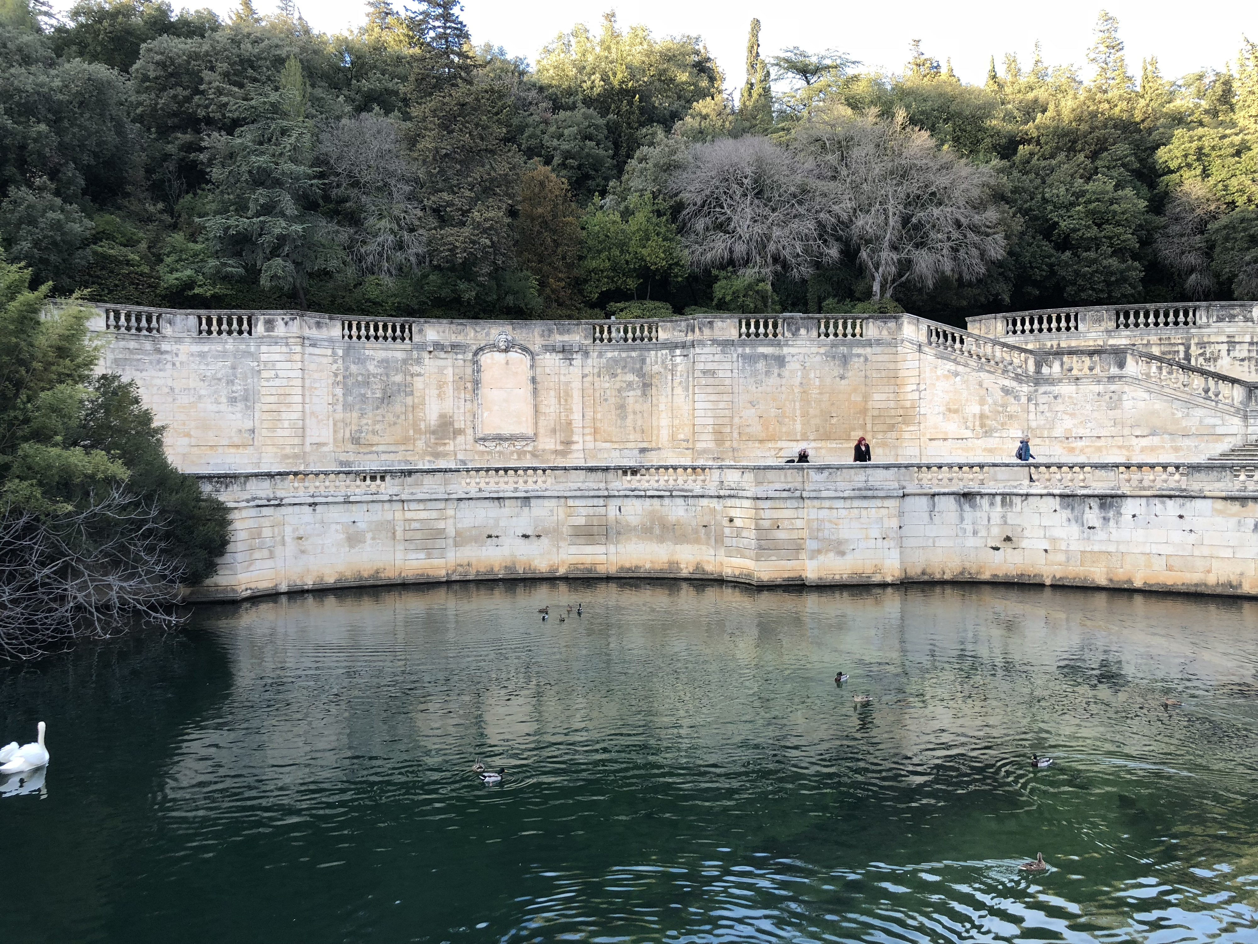 照片 法国(France) 尼姆(Nimes) 2018-02 38