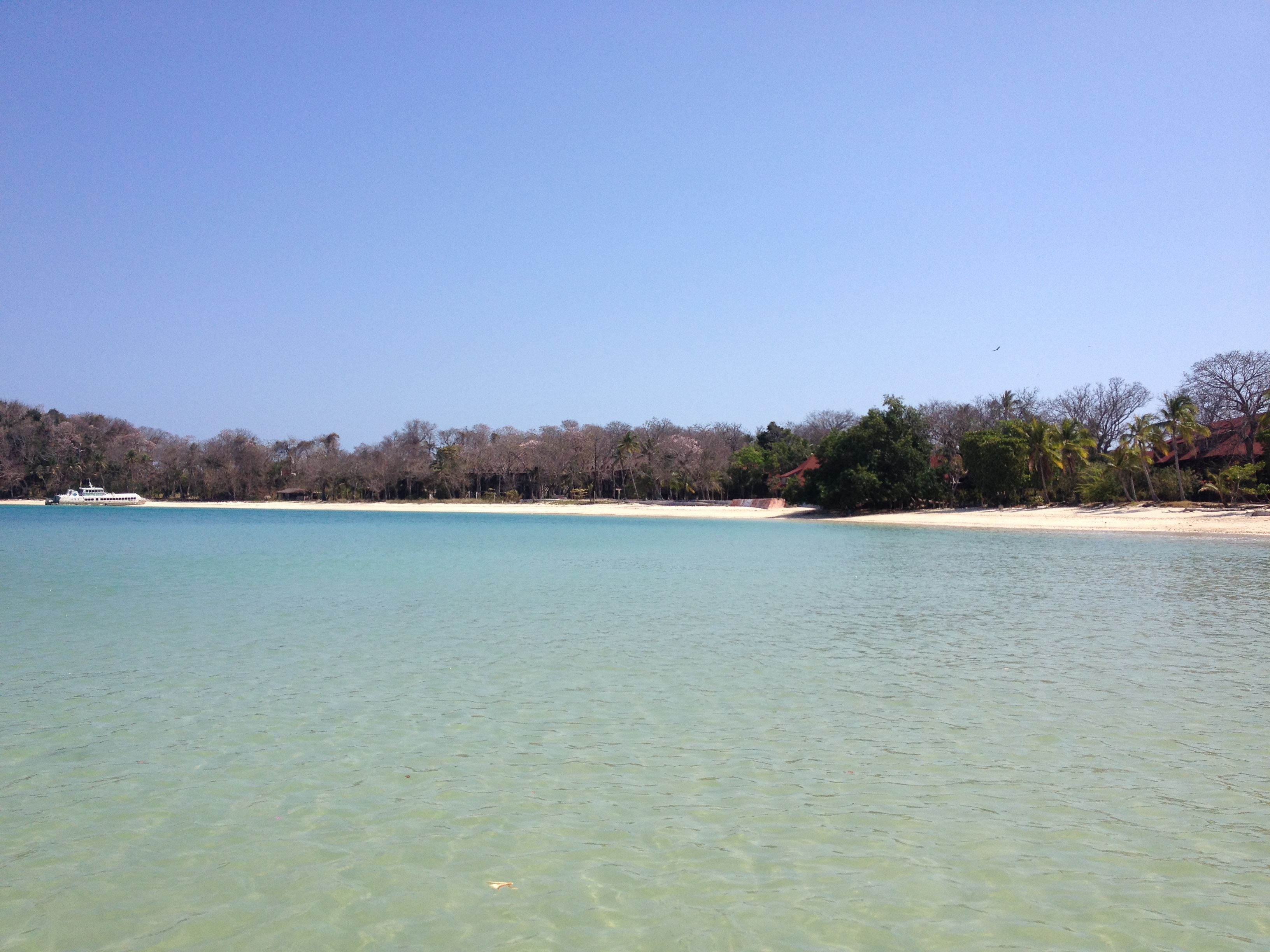 照片 巴拿马(Panama) 孔塔多拉岛(Contadora Island) 2015-03 20