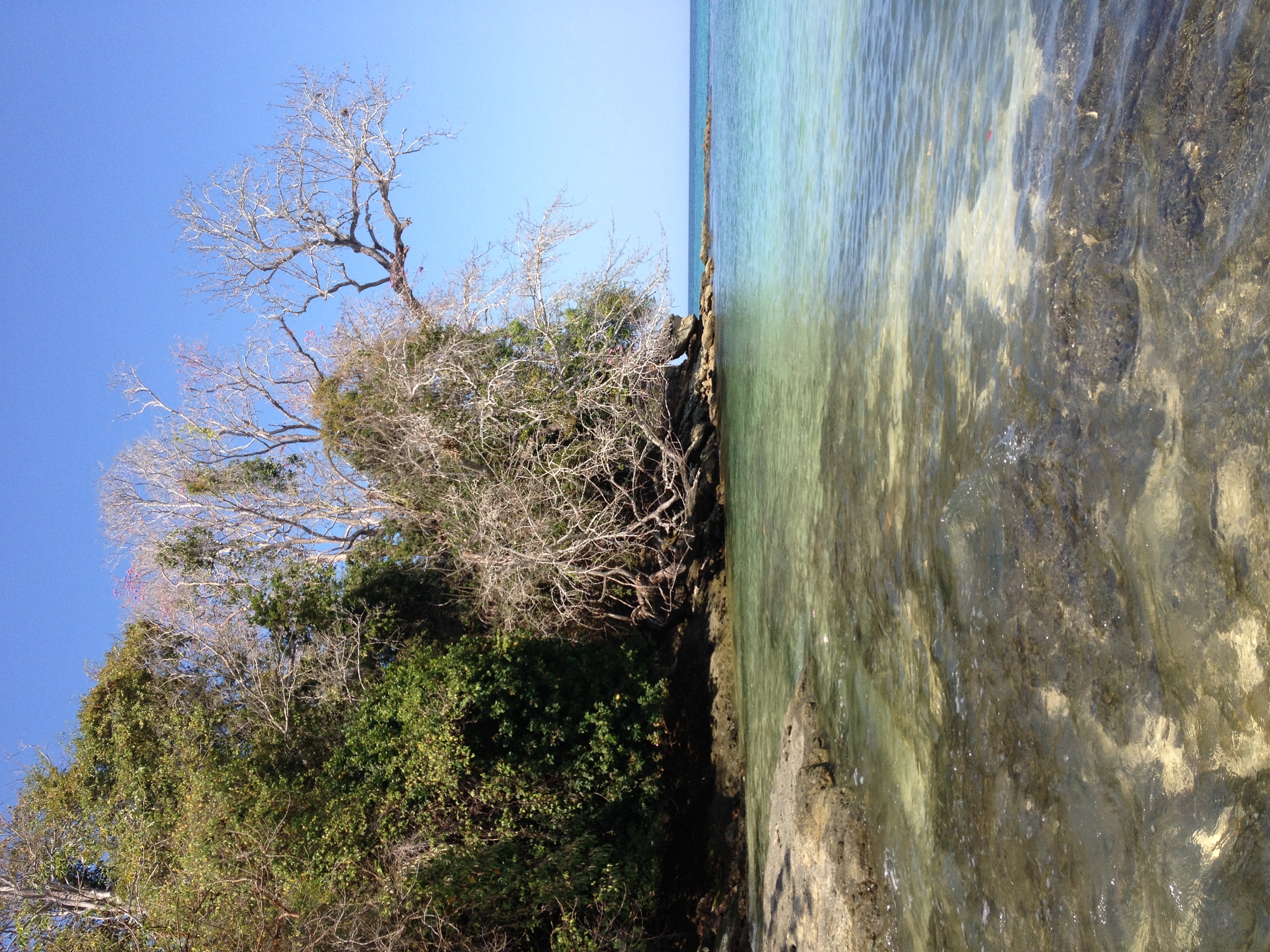 照片 巴拿马(Panama) 孔塔多拉岛(Contadora Island) 2015-03 1