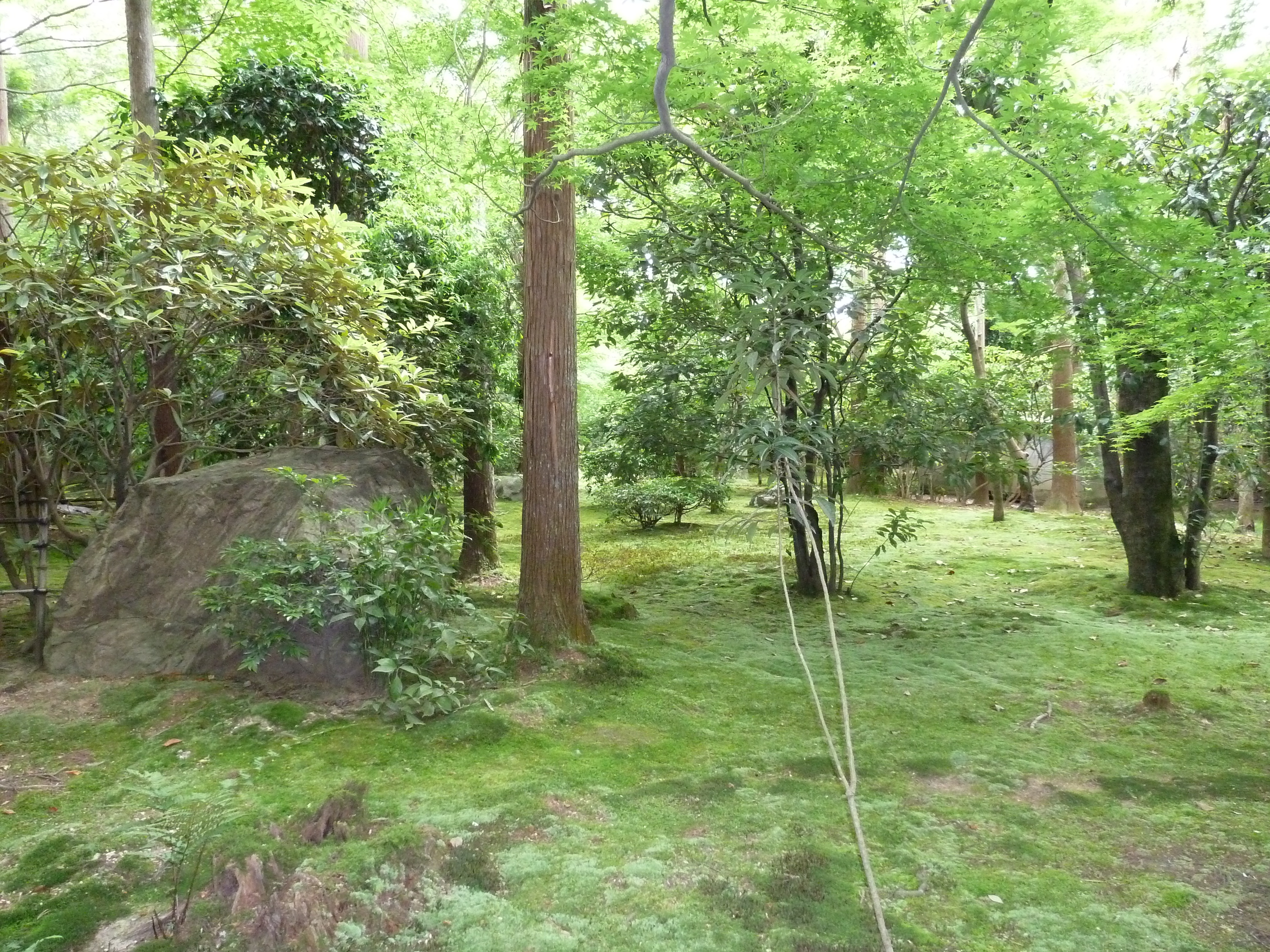 照片 日本(Japan) 京都(Kyoto) 龙安寺(Ryoanji Temple) 2010-06 46