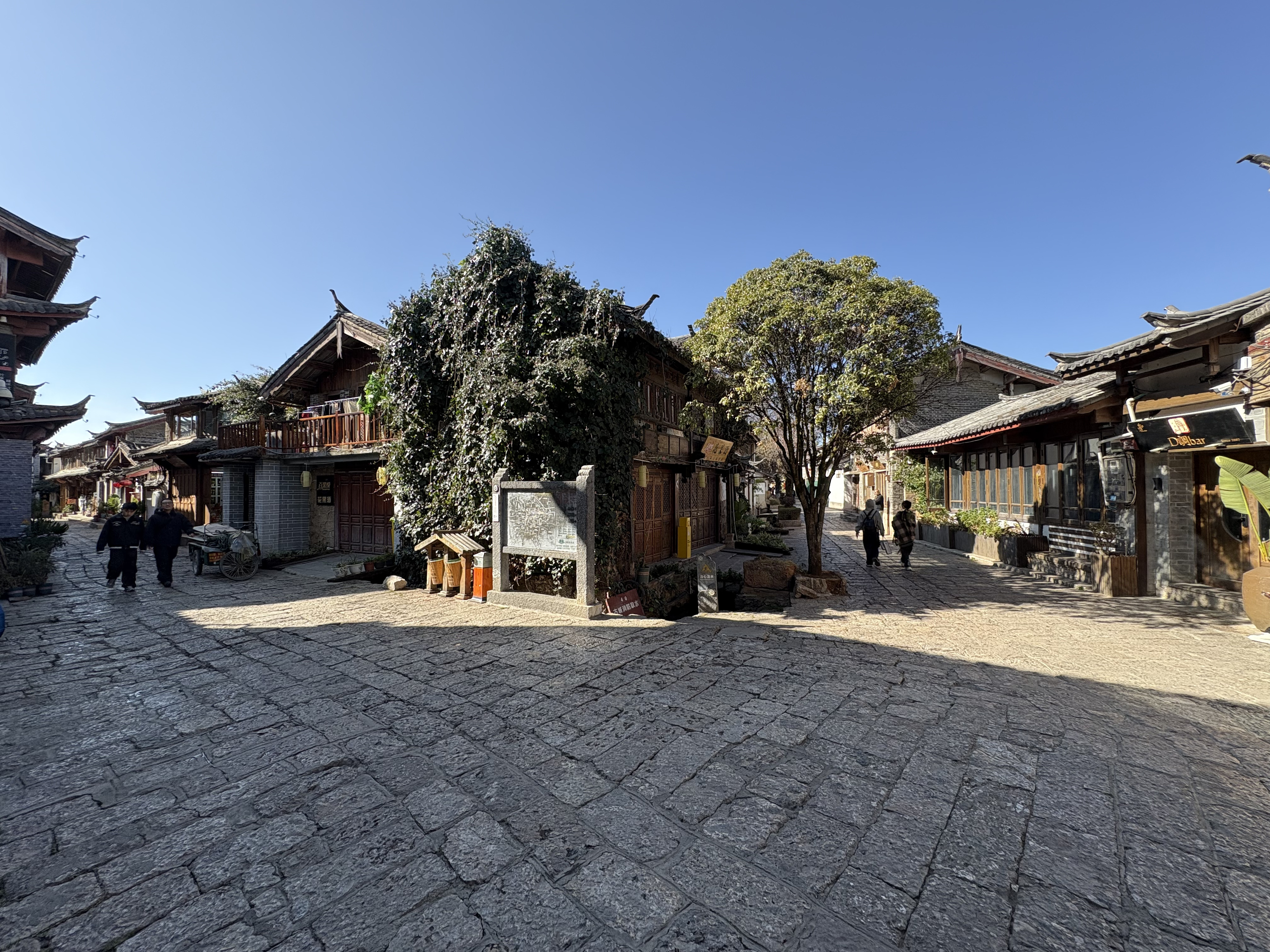 照片 中国(China) 丽江(Lijiang) 2026-01 792
