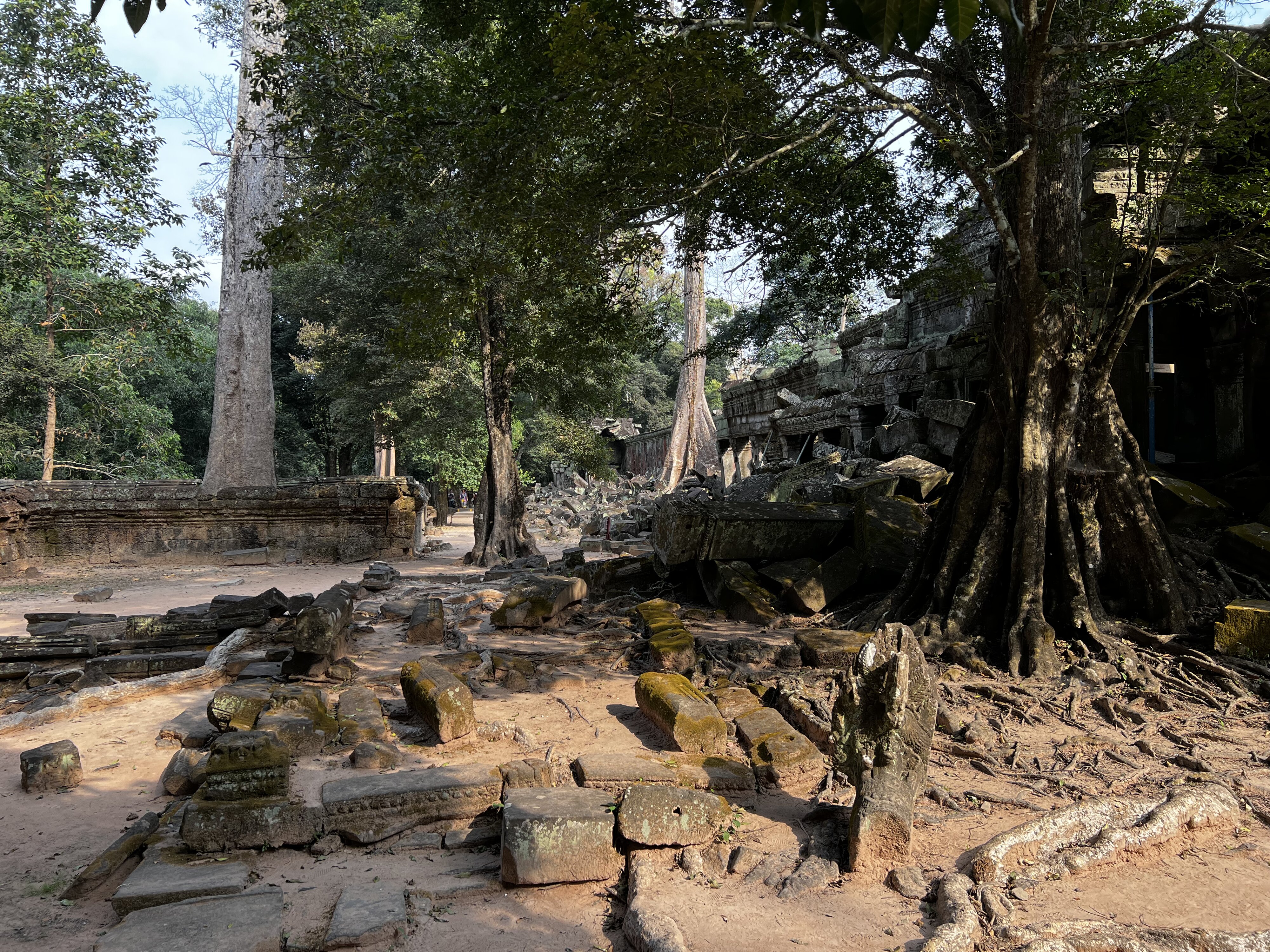 照片 柬埔寨(Cambodia) 暹粒(Siem Reap) 塔布茏寺(Ta Prohm) 2023-01 122