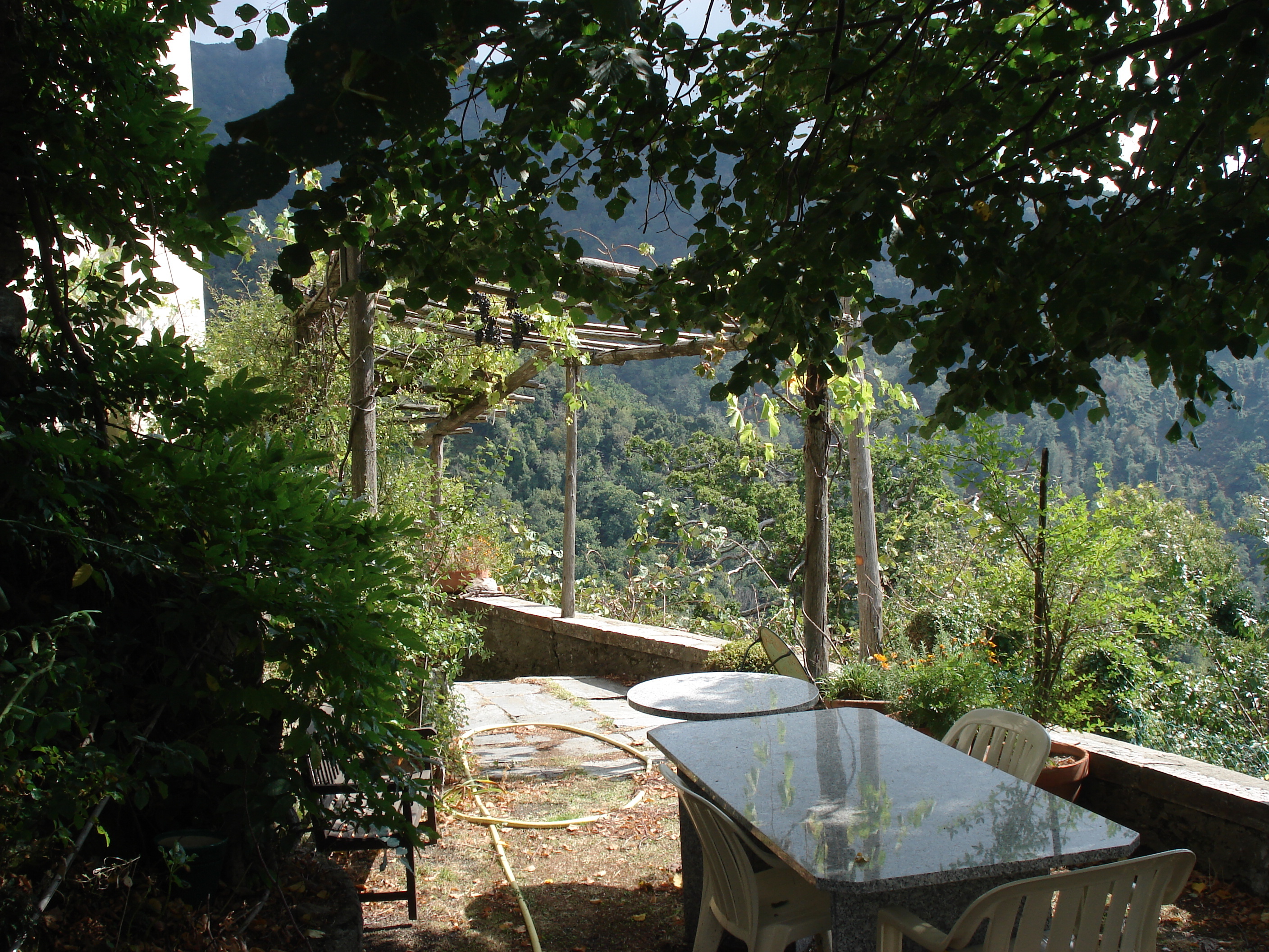 照片 法国(France) 科西嘉岛(Corsica) 阿莱萨尼山谷(Valle d'alesani) 2006-09 15