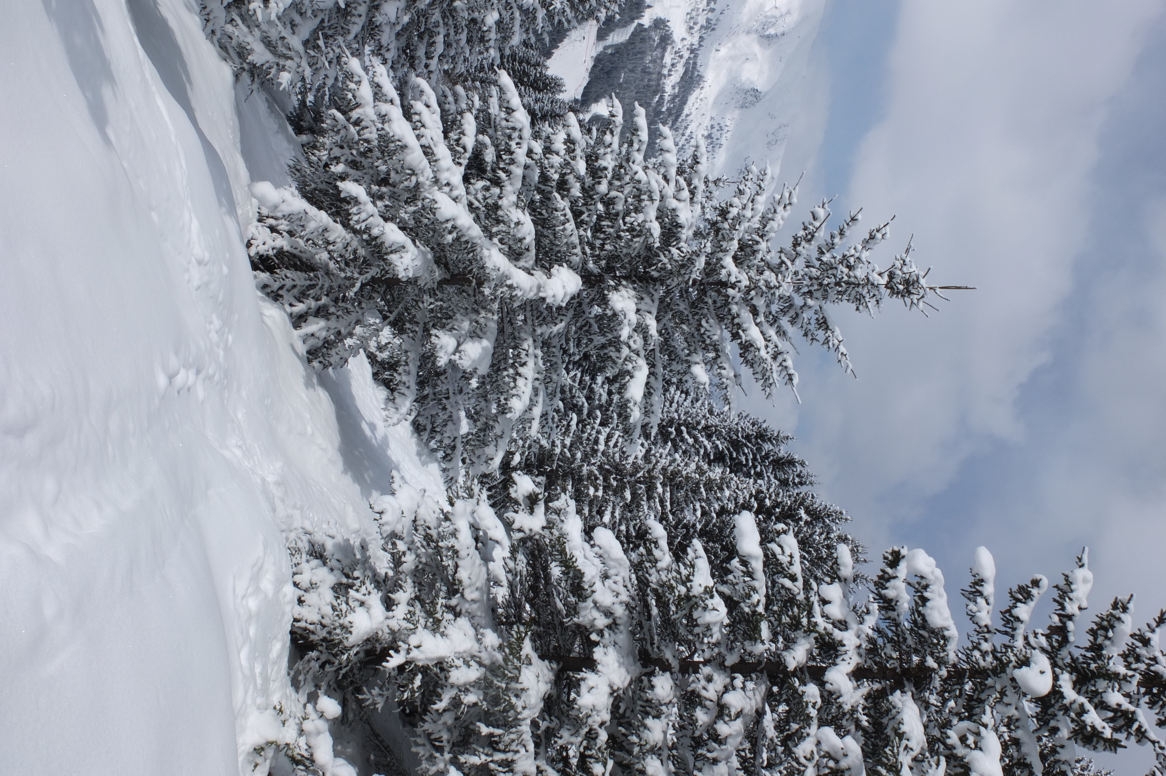 照片 法国(France) 三峡谷滑雪场(Les 3 Vallees) 2013-03 308