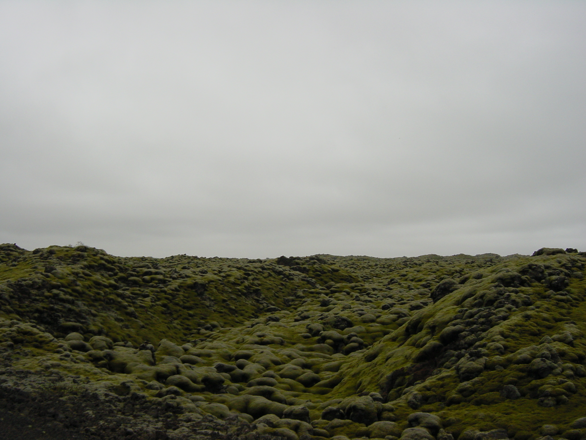 照片 冰岛(Iceland) 1号公路：维克至斯卡夫塔山(Road 1 Vik to Skaftafell) 2003-06 18