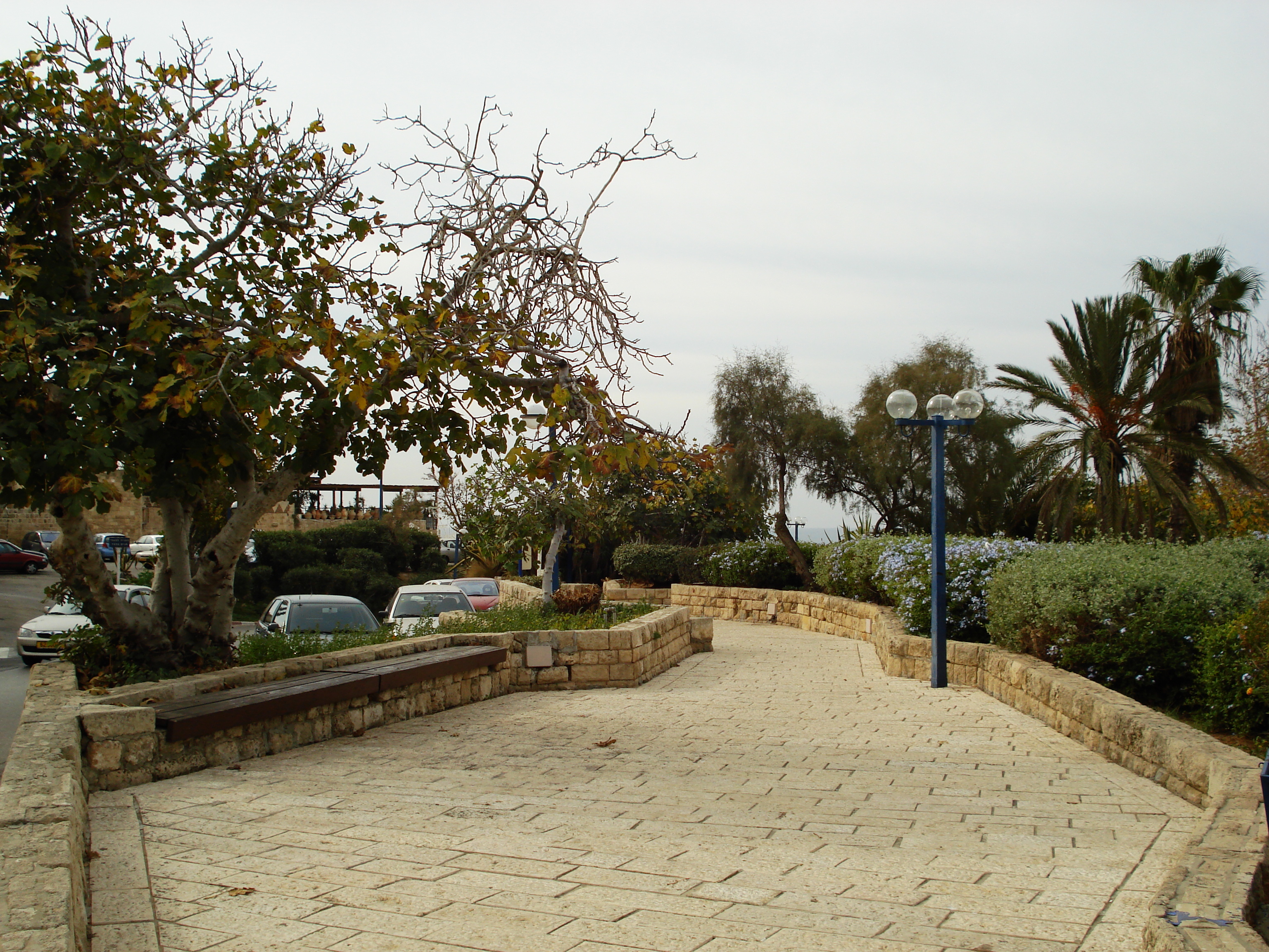 照片 以色列(Israel) 雅法(Jaffa) 2006-12 175