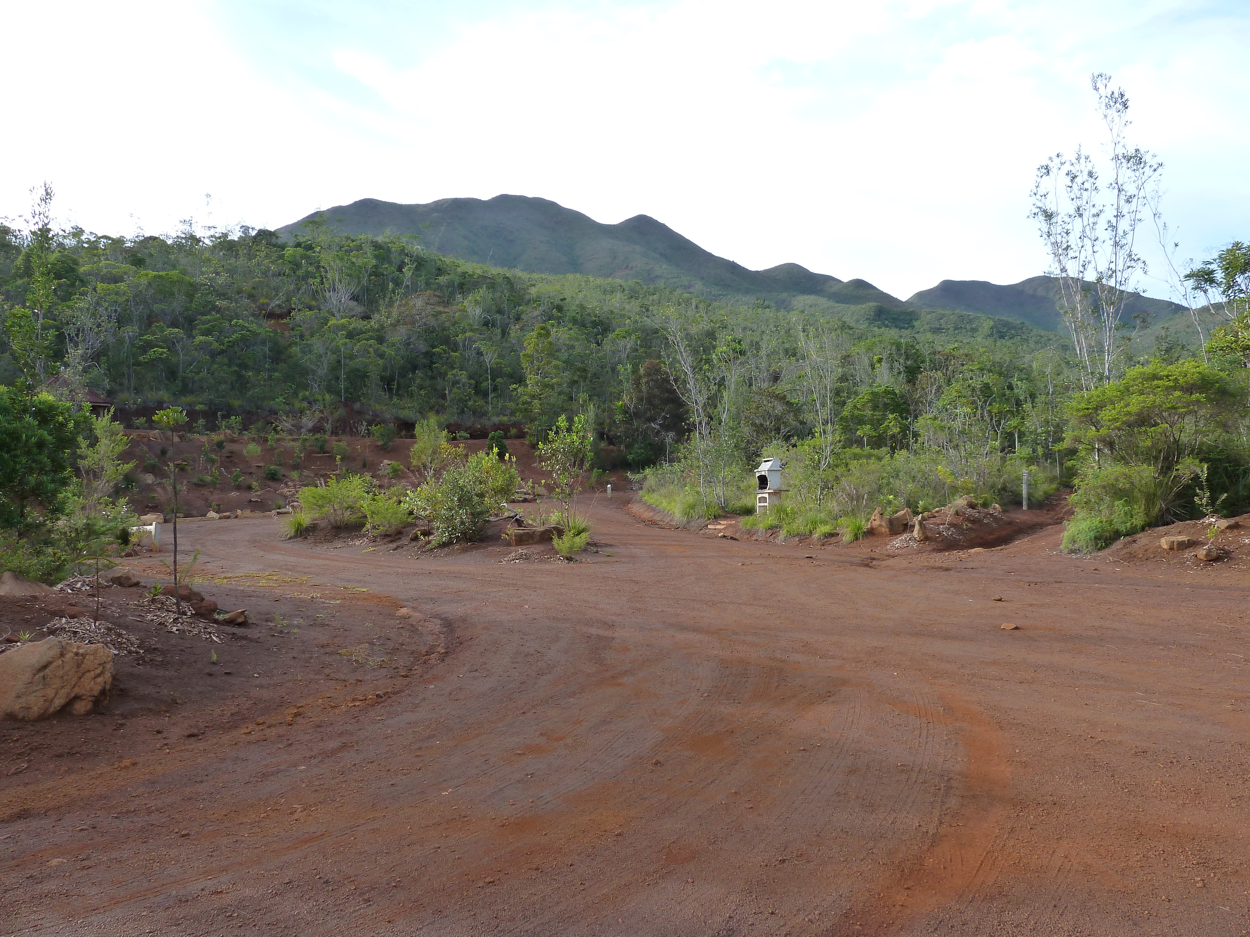照片 新喀里多尼亚(New Caledonia) 蓝河公园(Parc de la Riviere Bleue) 2010-05 72