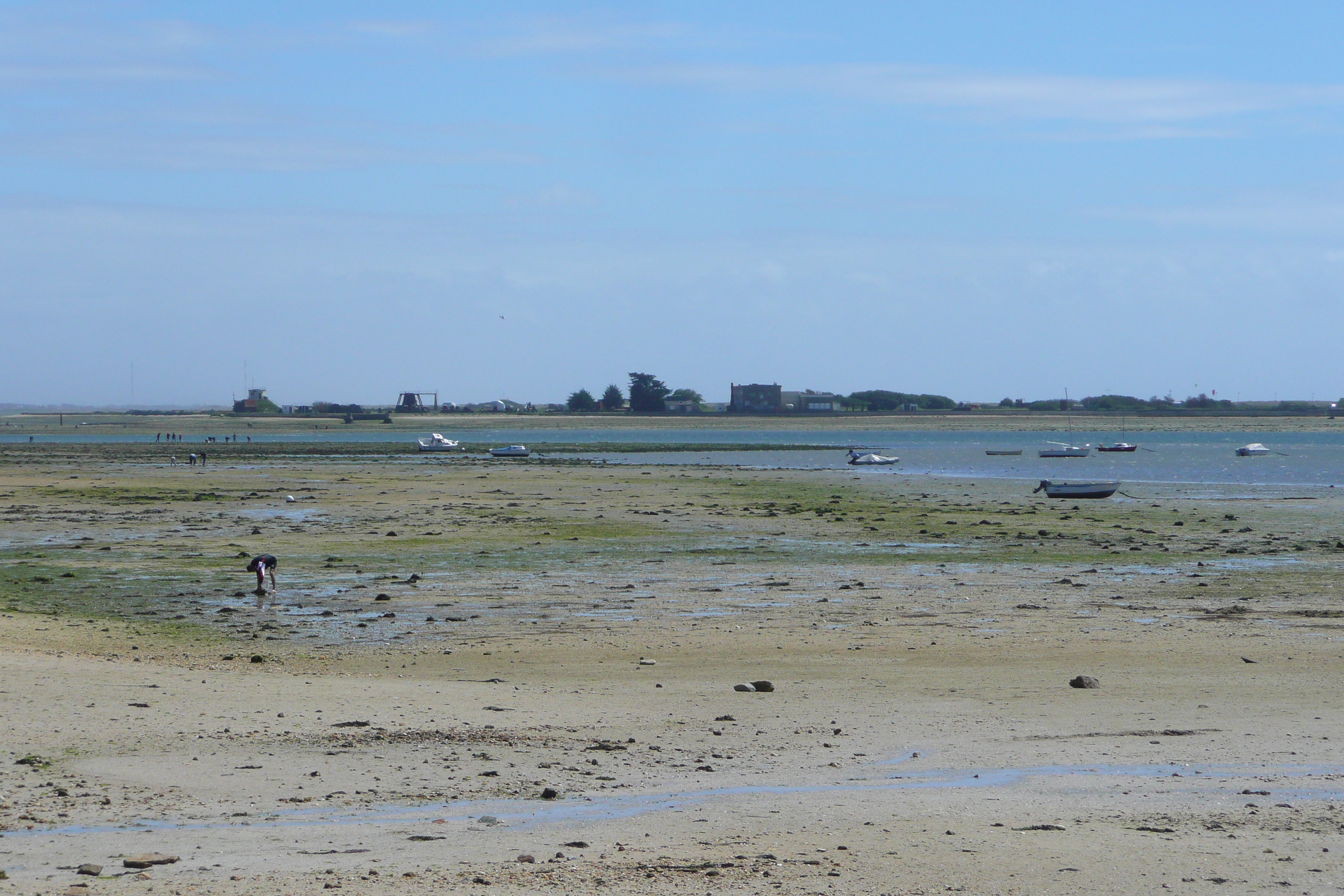 照片 法国(France) 加夫尔半岛(Gavres peninsula) 2008-07 7