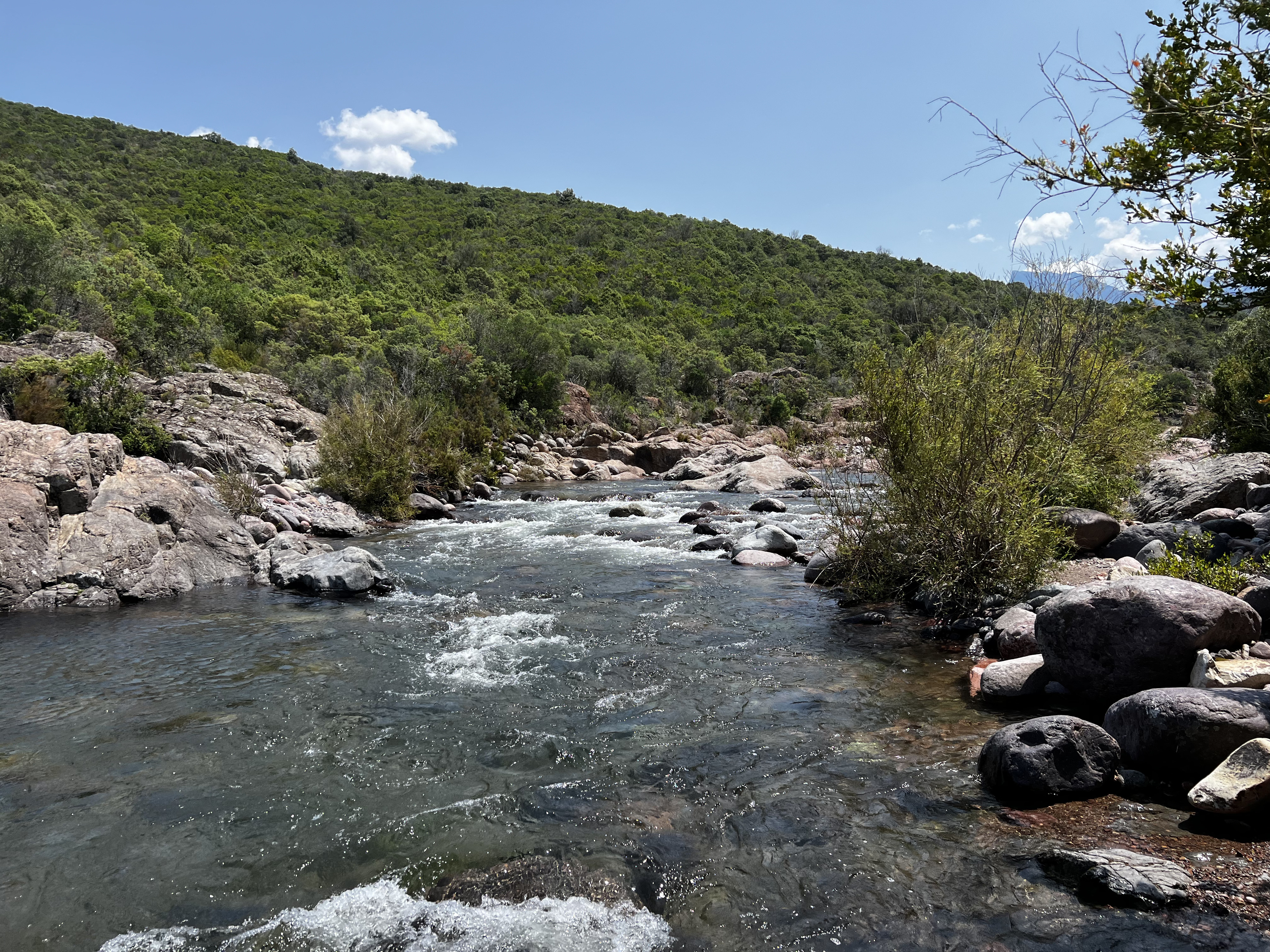 照片 法国(France) 科西嘉岛(Corsica) 凡戈河(Fango river) 2023-06 12