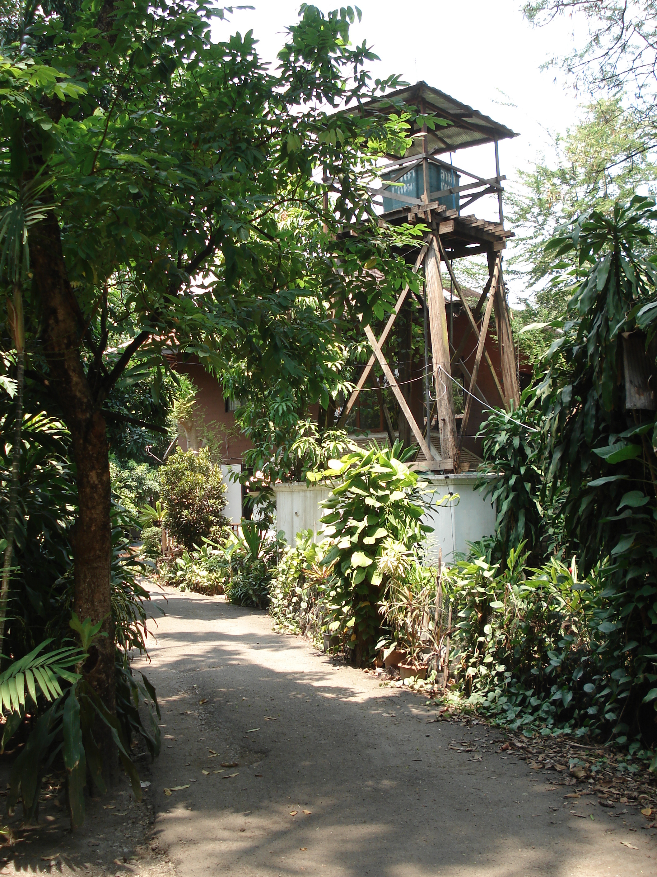 照片 泰国(Thailand) 清迈(Chiang Mai) 护城河内(Inside Canal) 拉查丹嫩路（步行街）(Rad Cha Dom Nurn (Walking Street)) 2006-04 21