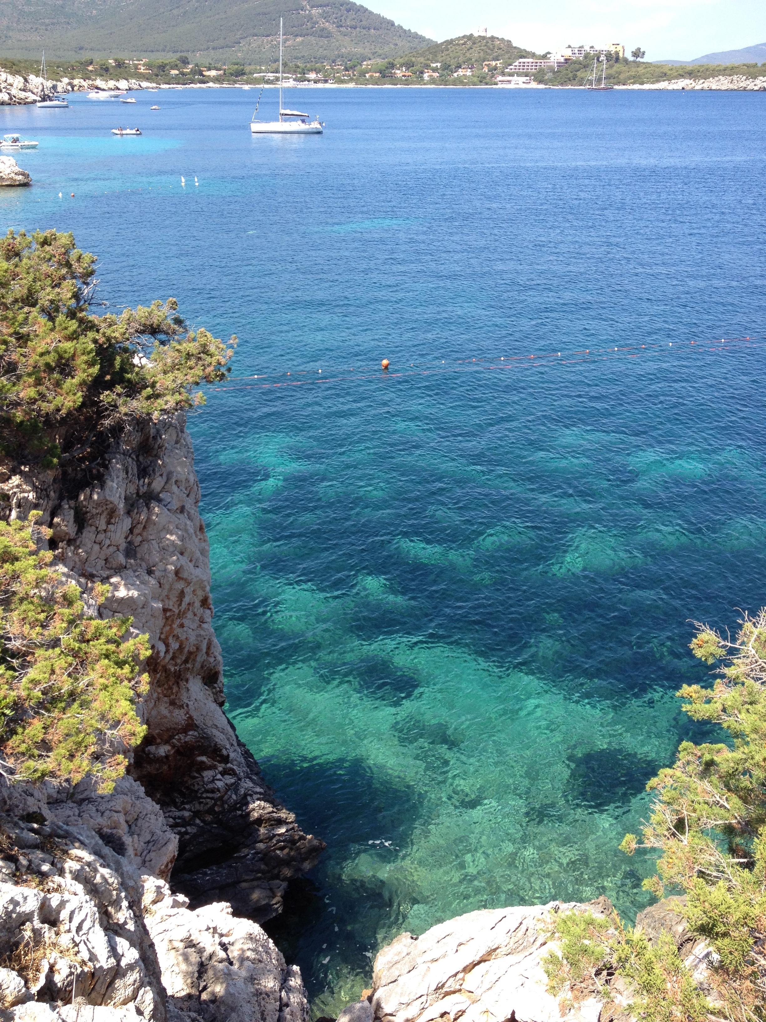照片 意大利(Italy) 撒丁岛(Sardinia) 孔特港地区自然公园(Porto Conte Regional Natural Park) 2015-06 4