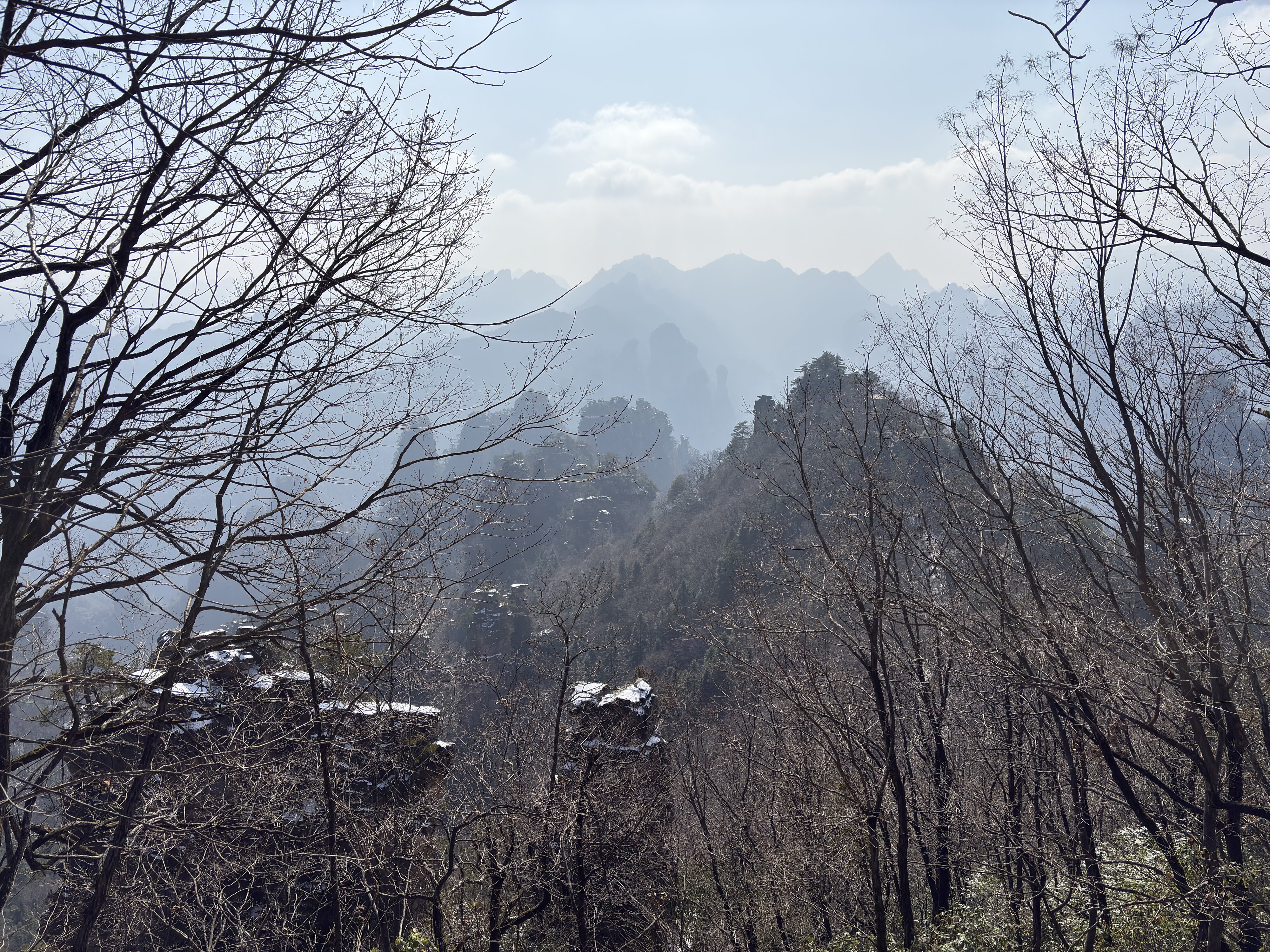 照片 中国(China) 张家界(Zhangjiajie) 天子山(Tianzi Mountain) 2026-01 0