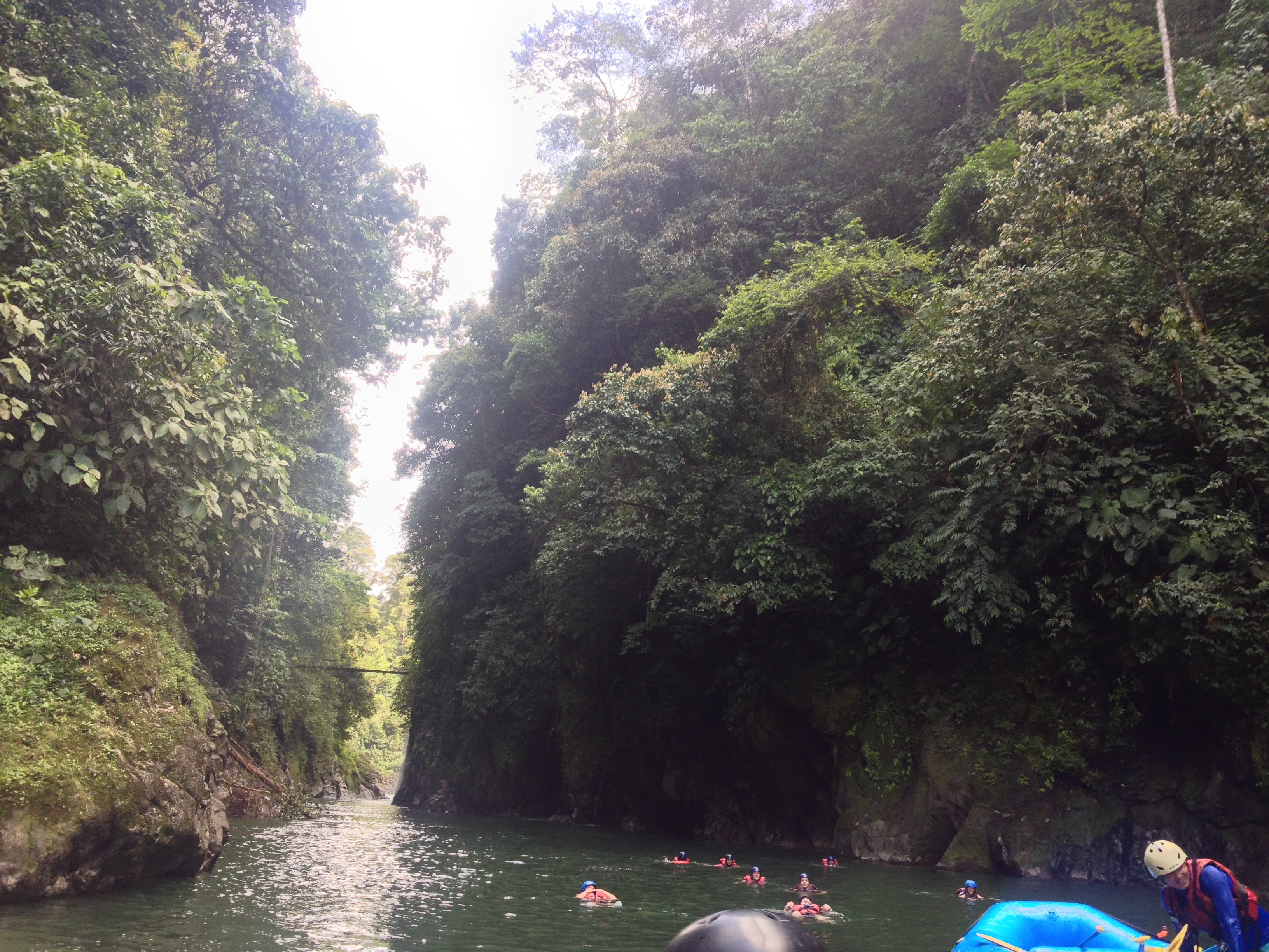 照片 哥斯达黎加(Costa Rica) 帕夸雷河(Pacuare River) 2015-03 233