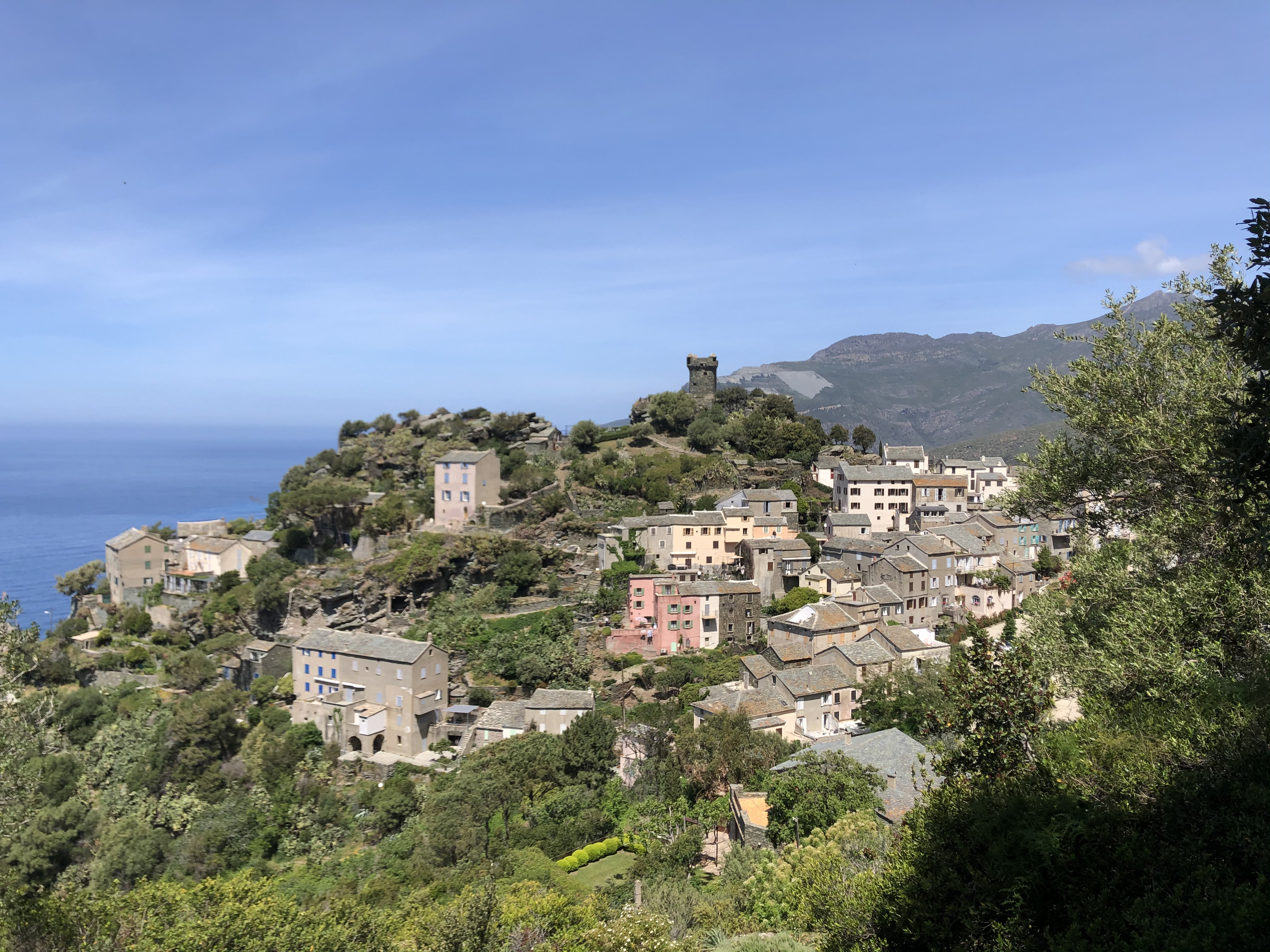 照片 法国(France) 科西嘉岛(Corsica) 农扎(Nonza) 2021-05 5