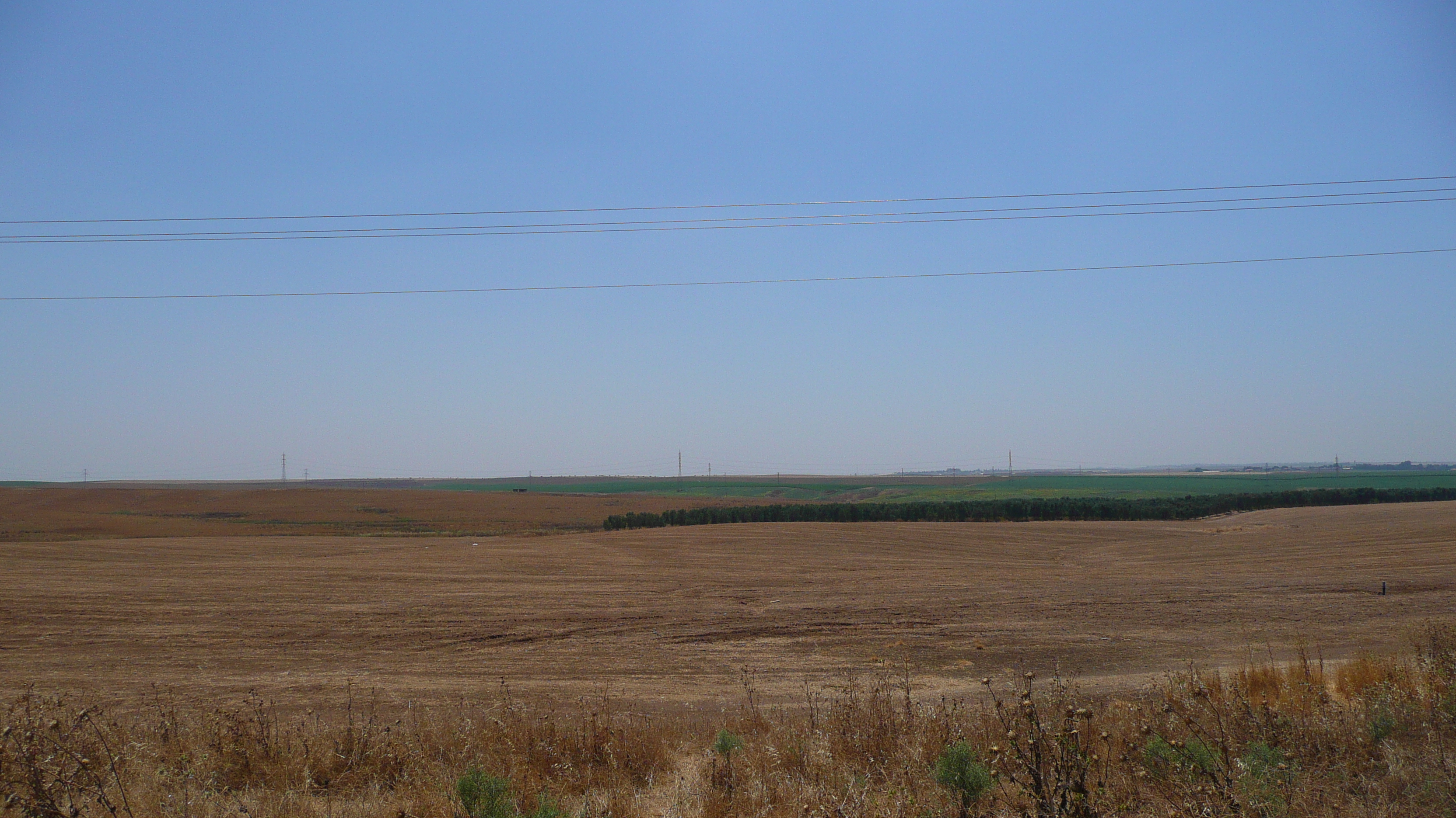 照片 以色列(Israel) 阿什凯隆至阿拉德公路(Ashkelon to Arad road) 2007-06 41