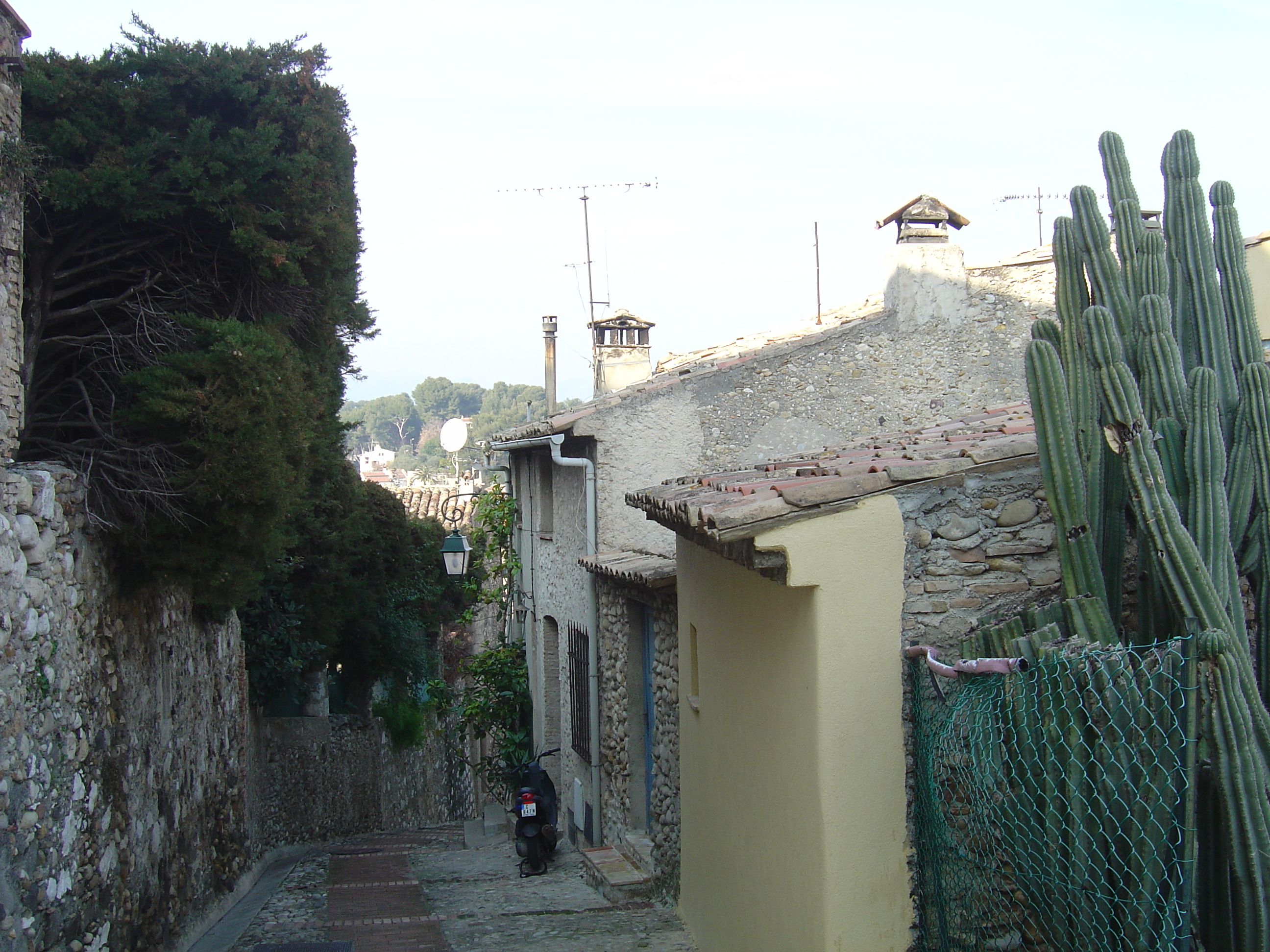 照片 法国(France) 上卡涅(Les Hauts de Cagnes) 2006-01 55