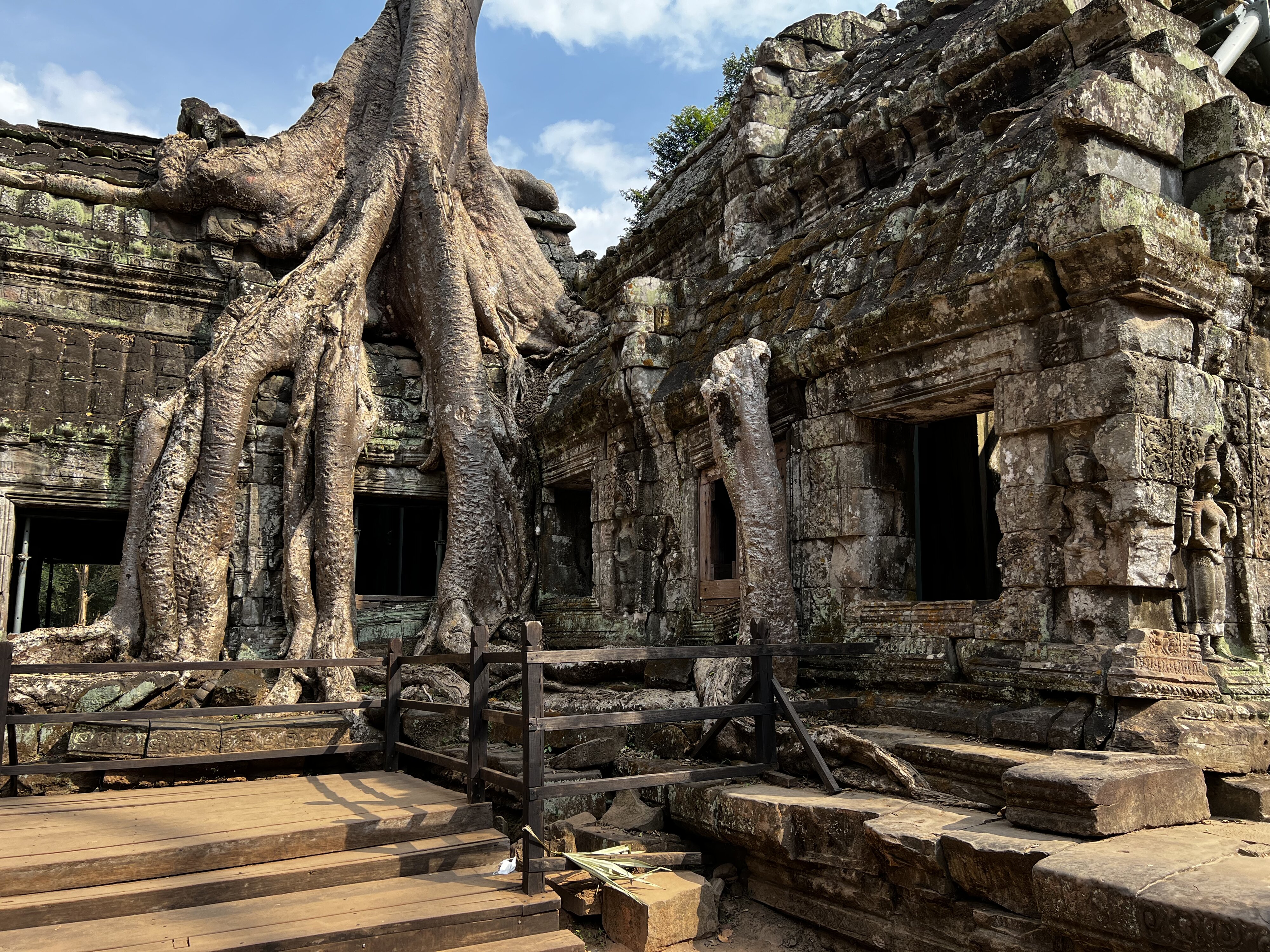 照片 柬埔寨(Cambodia) 暹粒(Siem Reap) 塔布茏寺(Ta Prohm) 2023-01 72