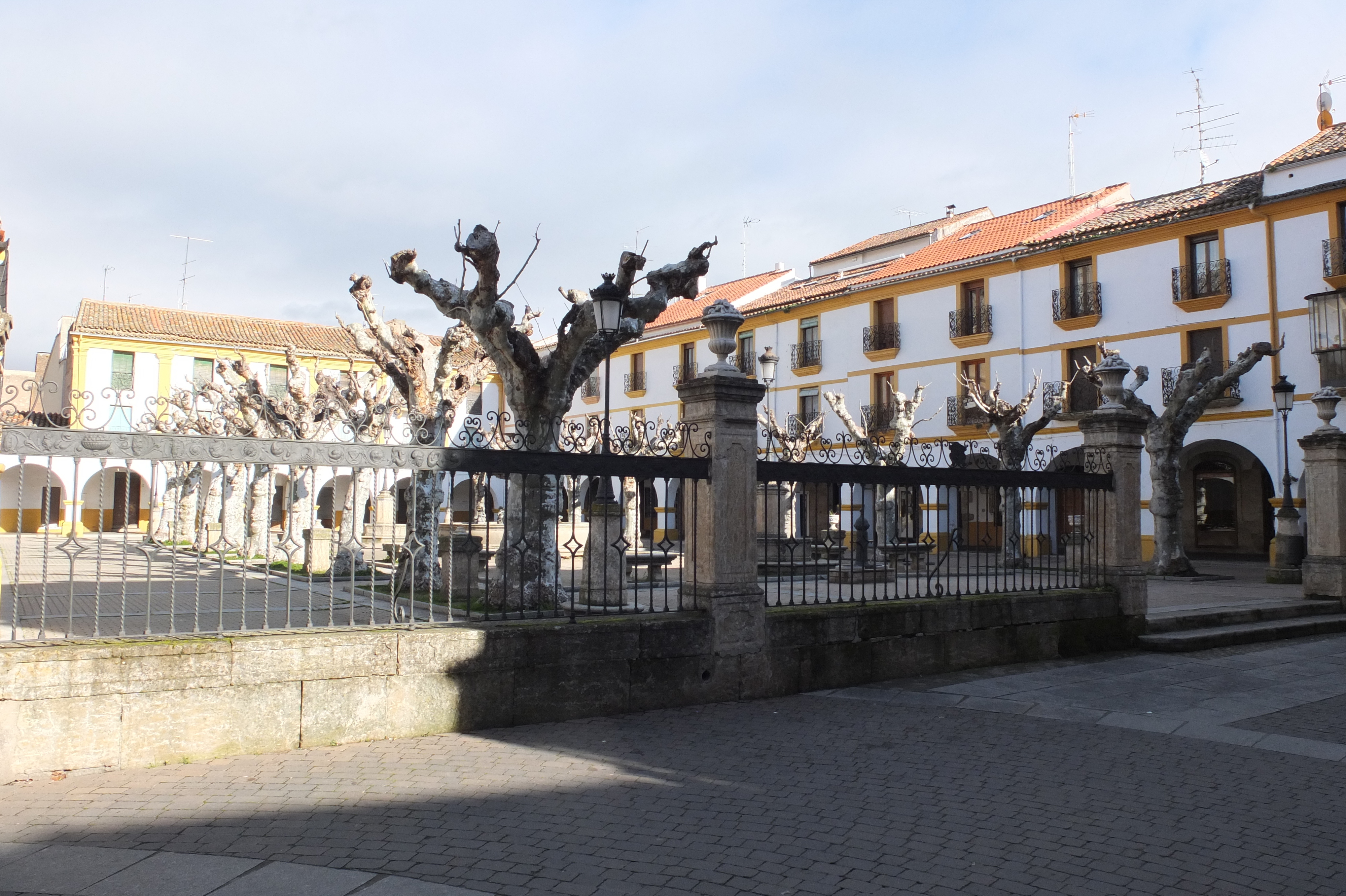 照片 西班牙(Spain) 罗德里戈城(Ciudad Rodrigo) 2013-01 12