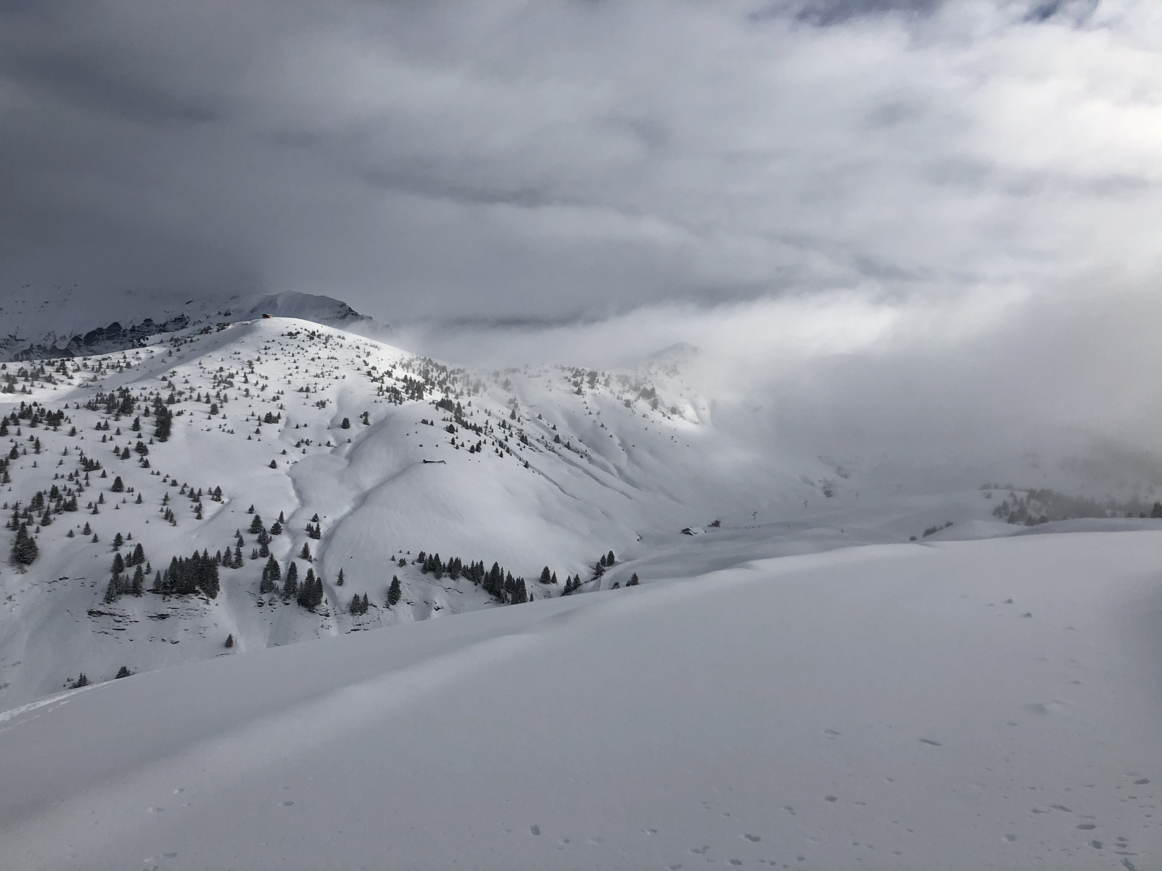 照片 法国(France) 阿尔利河畔普拉(Praz sur Arly) 2019-12 486