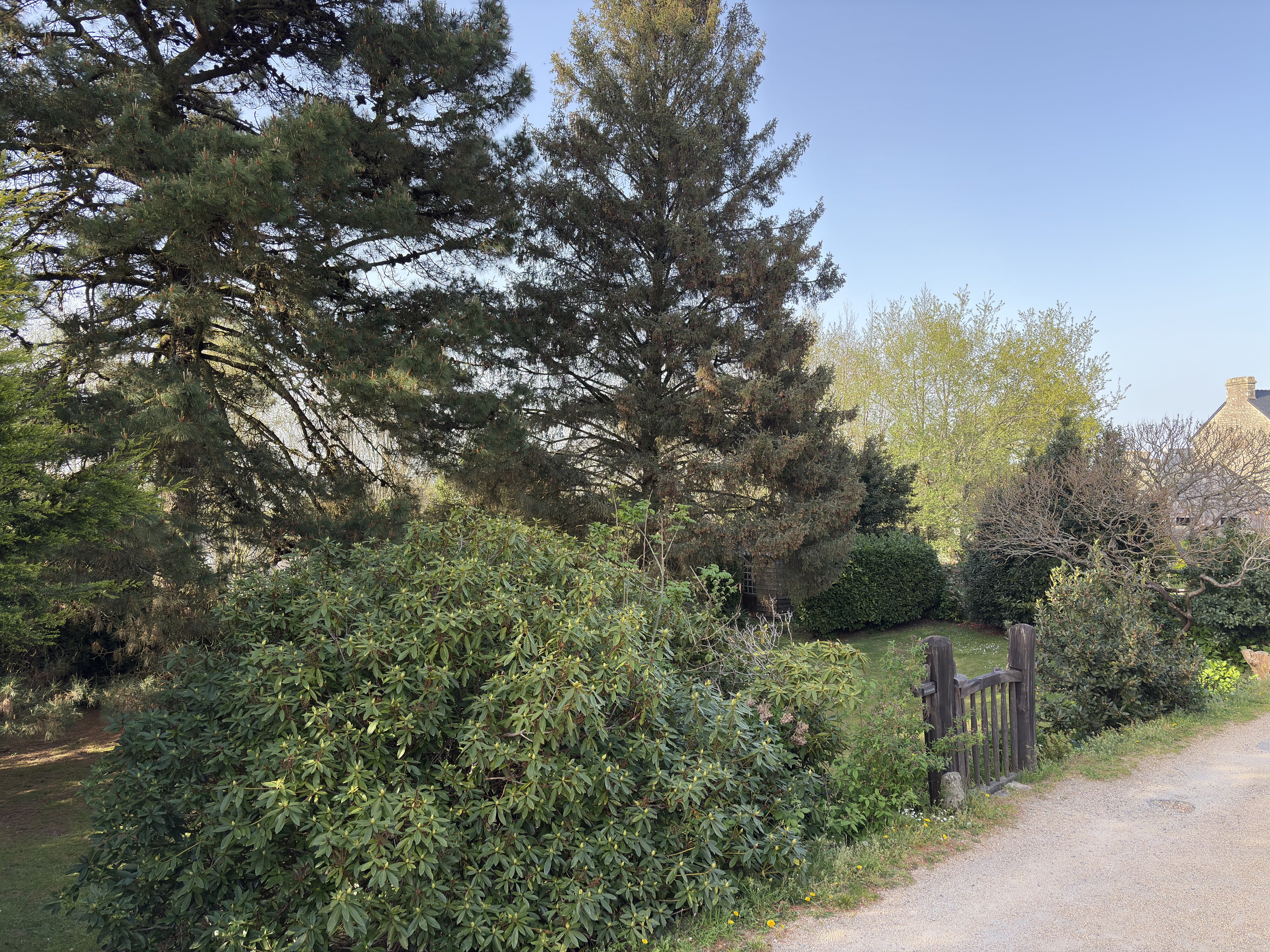 照片 法国(France) 洛克罗南(Locronan) 2026-04 59