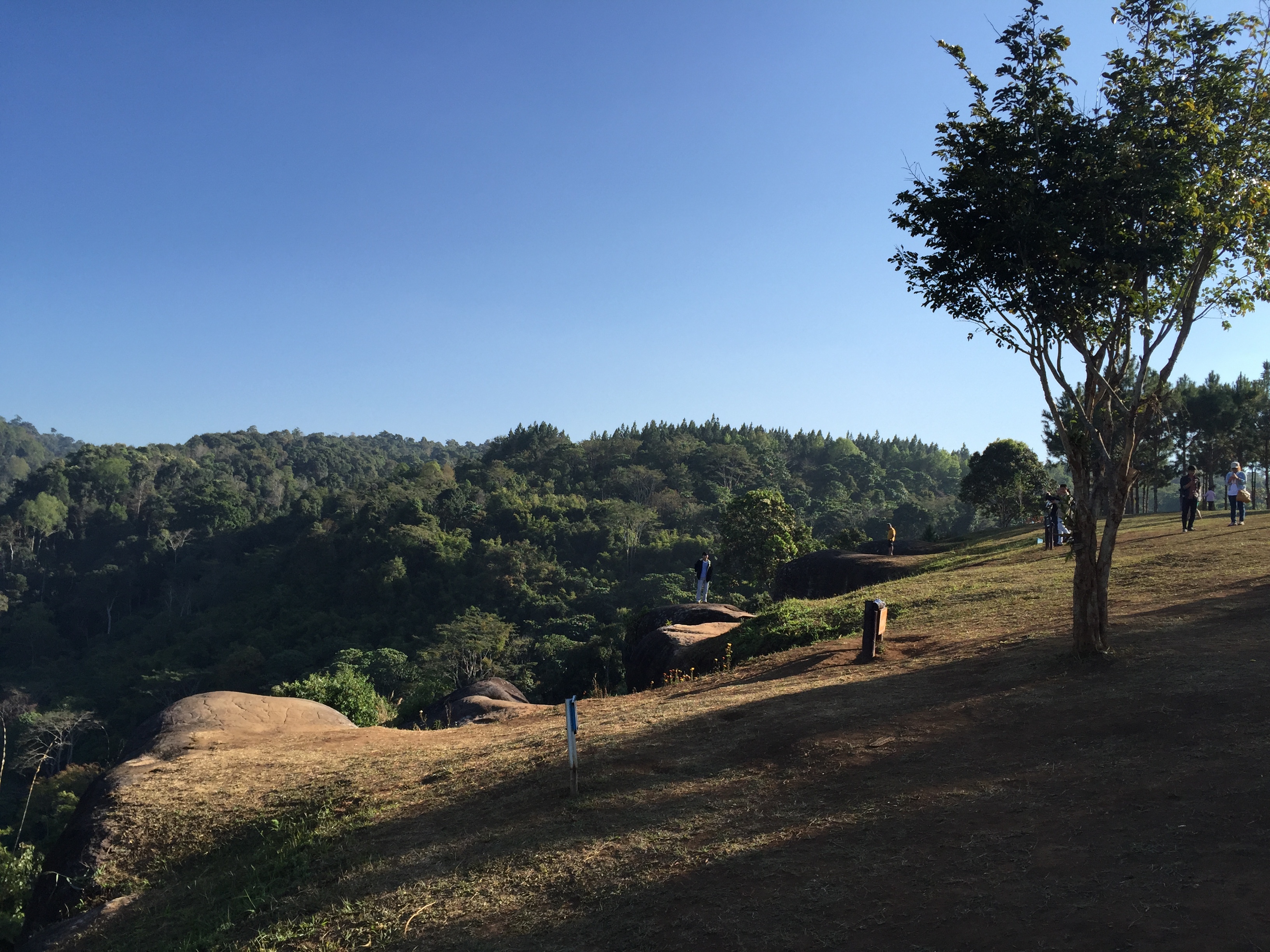 照片 泰国(Thailand) 普欣隆卡国家公园(Phu Hin Rong Kla National Park) 2014-12 294