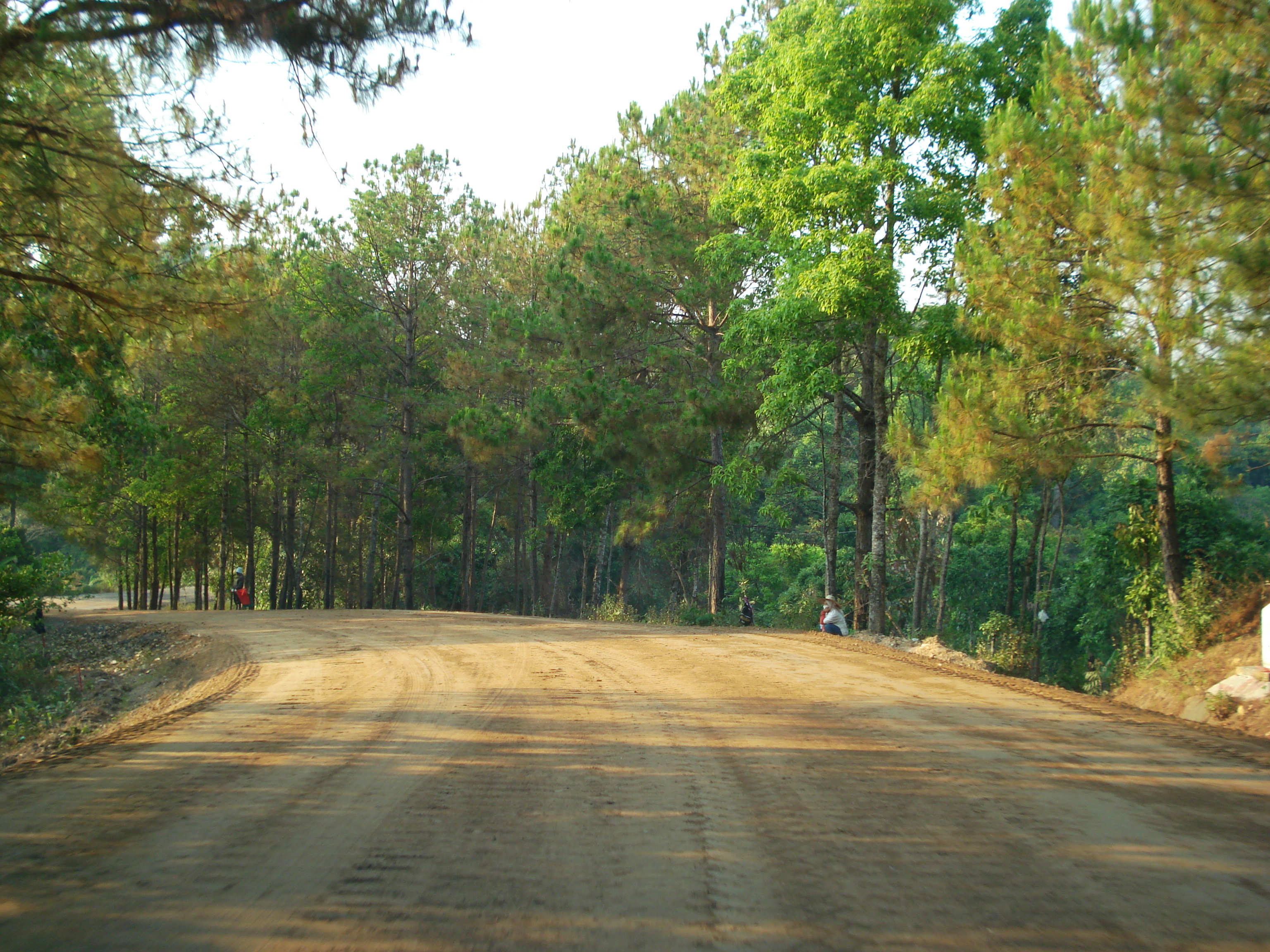 照片 泰国(Thailand) 清迈至拜县公路(Chiang Mai to Pai road) 2007-02 148