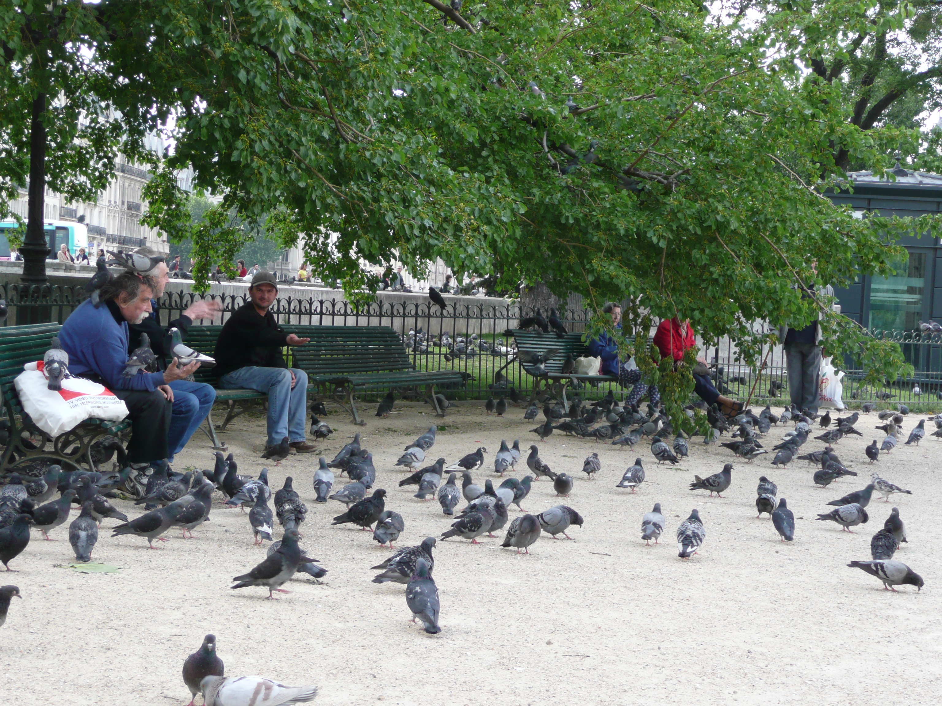 照片 法国(France) 巴黎(Paris) 巴黎圣母院(Notre Dame) 2007-05 218