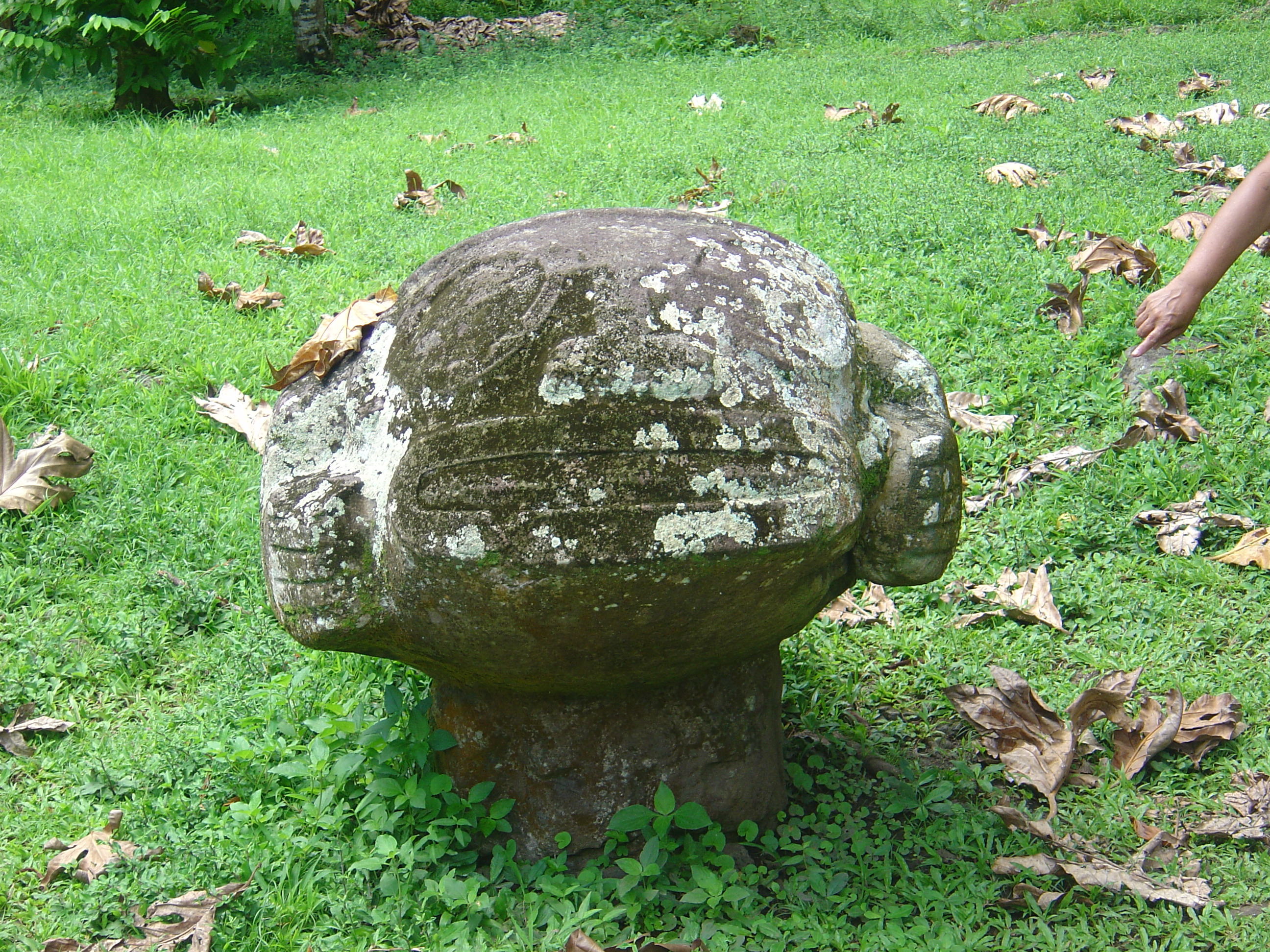 照片 波利尼西亚(Polynesia) 马克萨斯群岛(Marquises) 2006-04 94