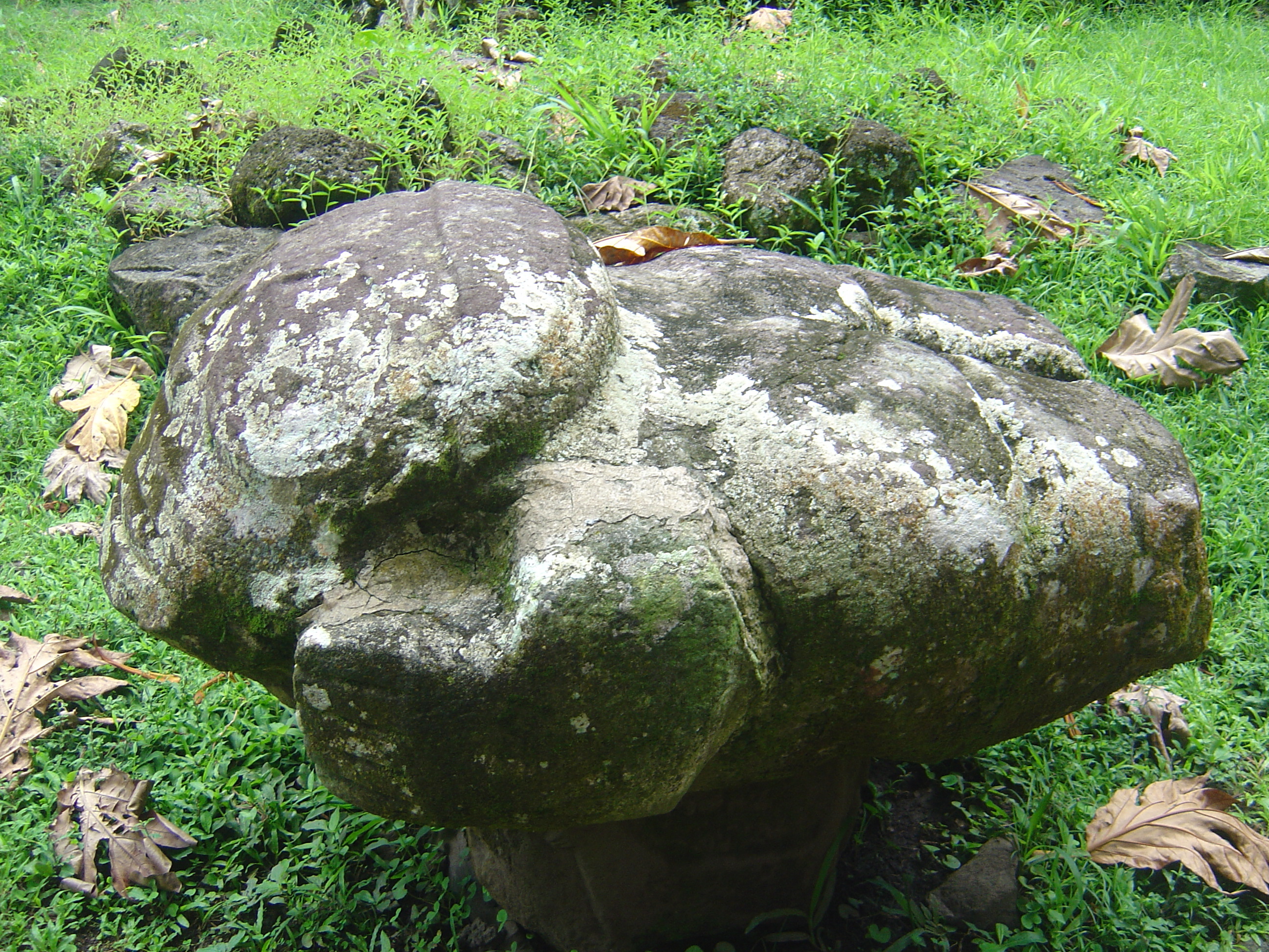 照片 波利尼西亚(Polynesia) 马克萨斯群岛(Marquises) 2006-04 81