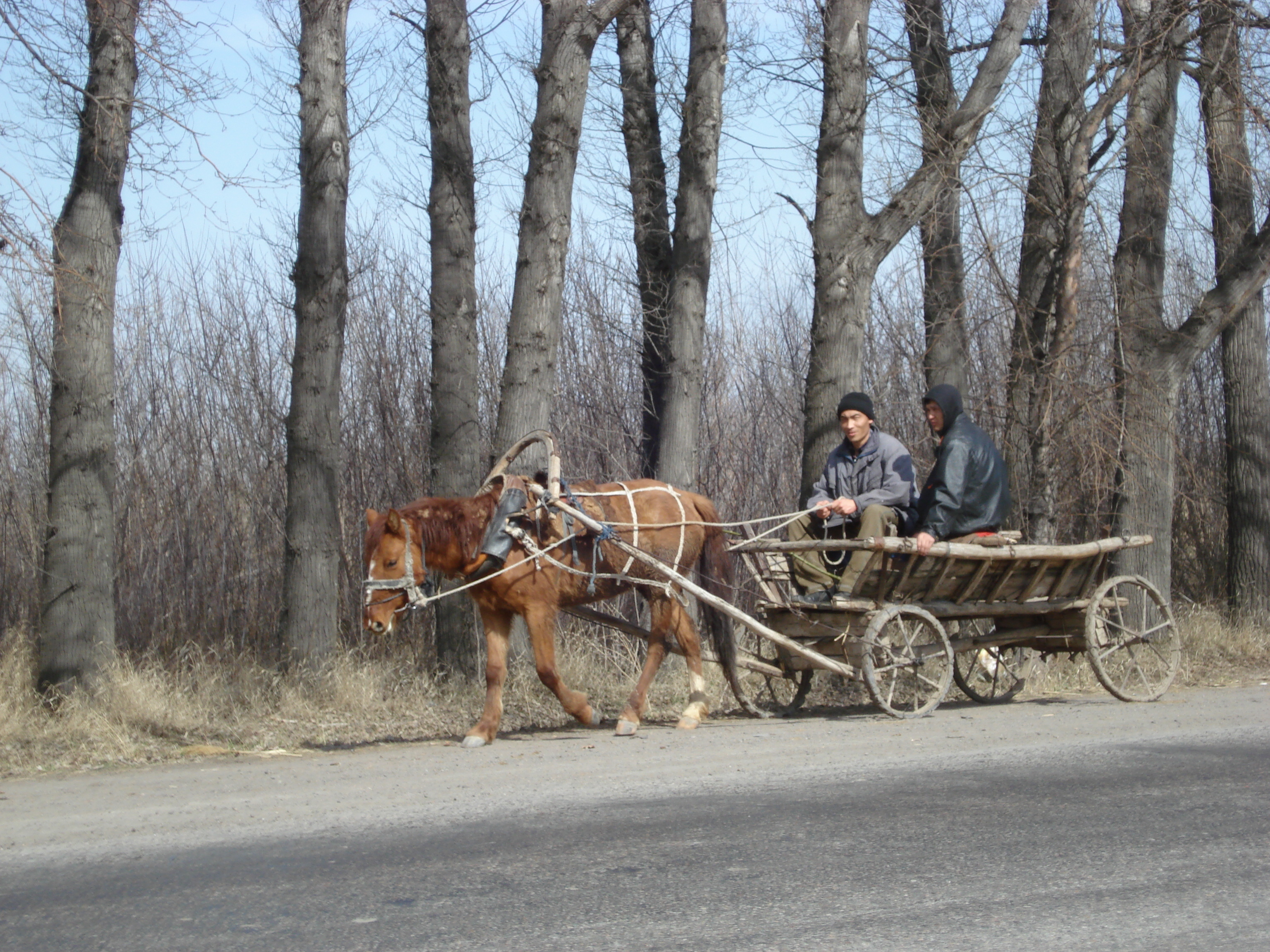 照片 哈萨克斯坦(Kazakhstan) 阿拉木图至恰伦峡谷公路(Almaty to Charyn Canyon road) 2007-03 40